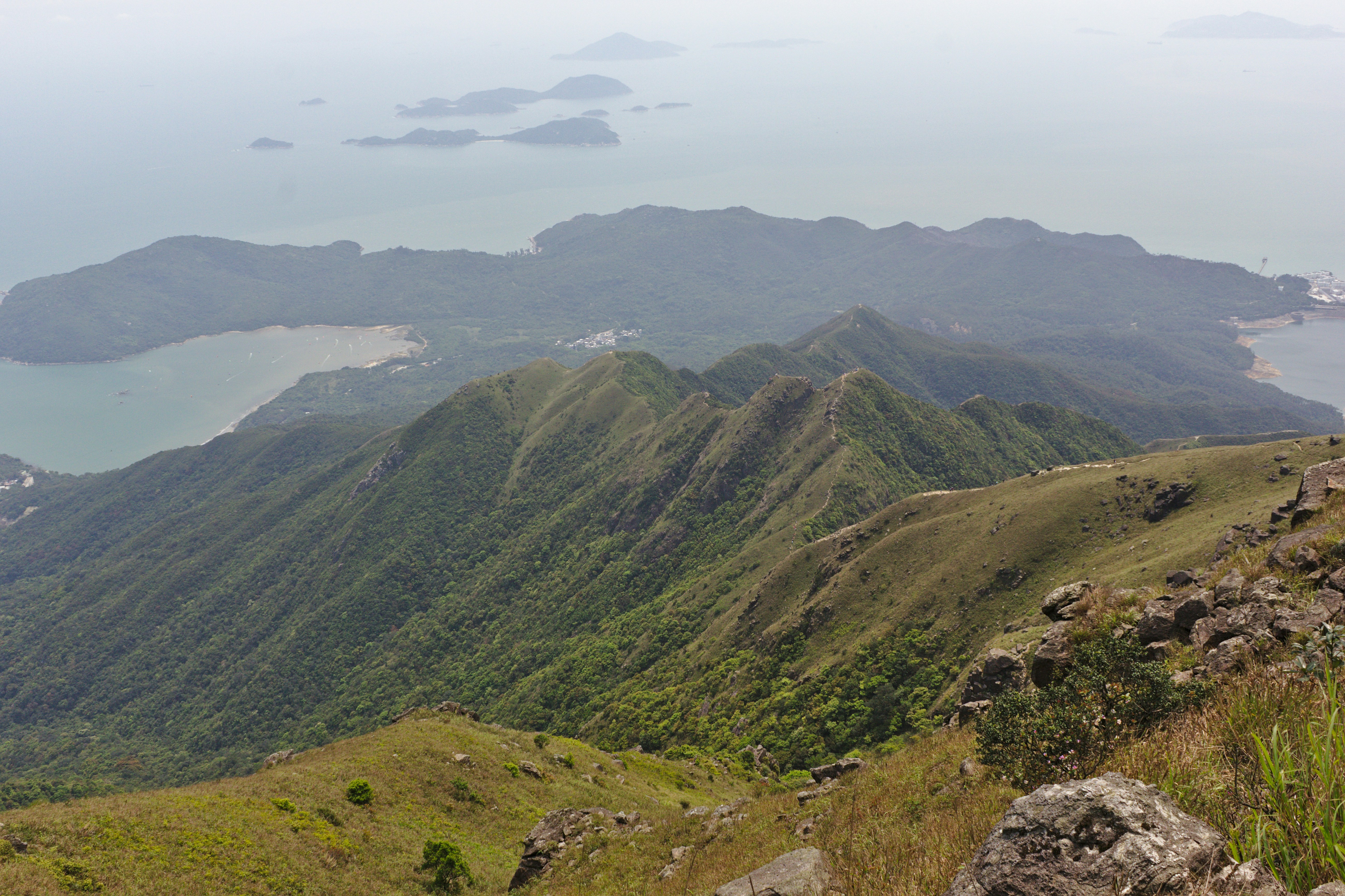 Photo by chromatograph