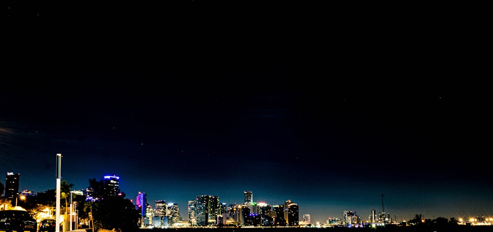 city skyline during night time