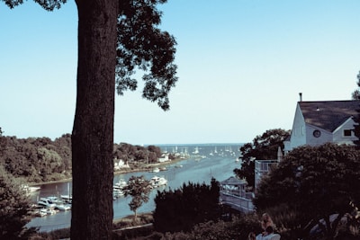 A scenic view of a river lined with numerous boats, bordered by lush greenery and houses on either side. A large tree stands prominently in the foreground. The sky is clear with a light blue hue, and there is a house with a visible chimney and deck on the right side.