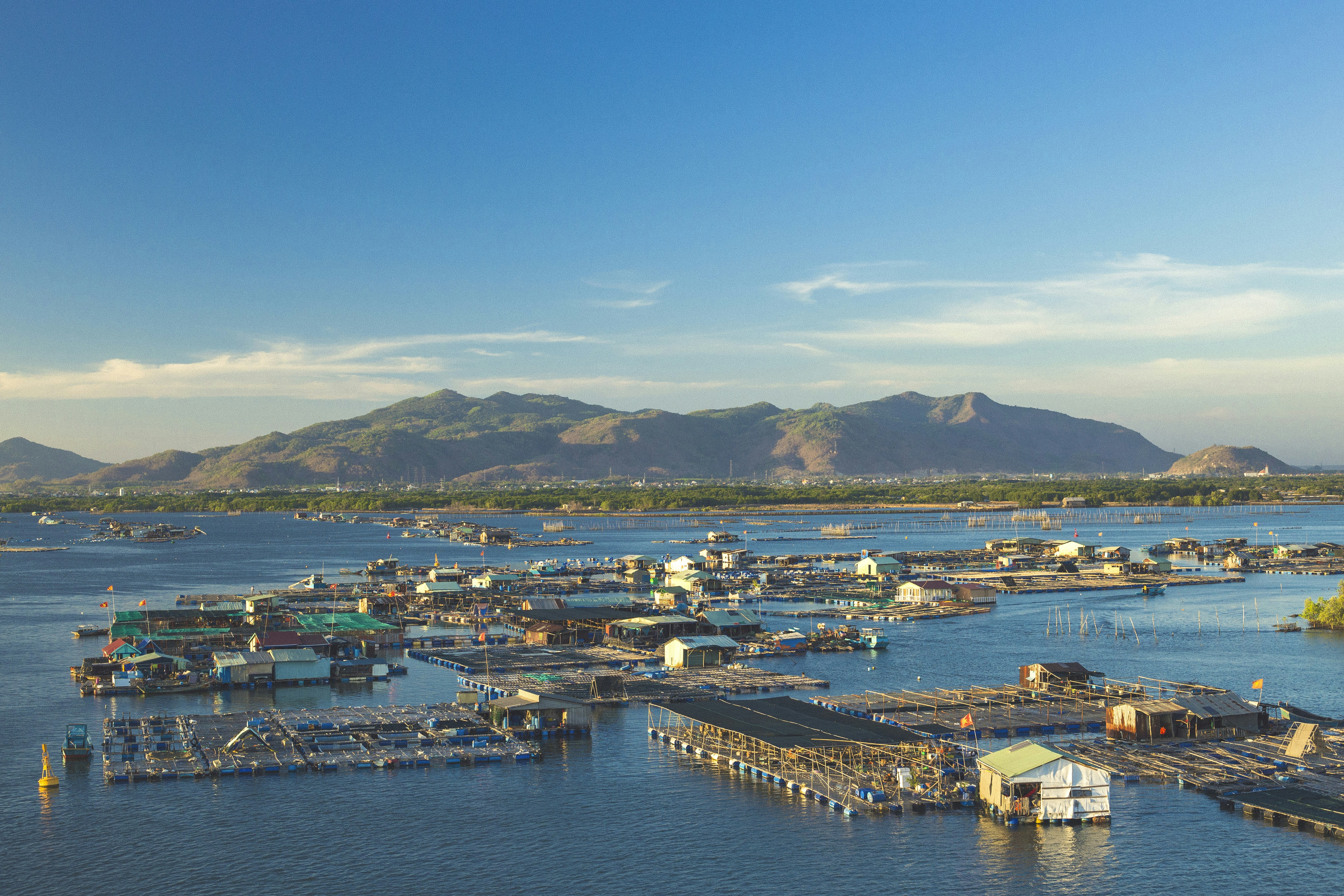 Photo by thanhtranpt