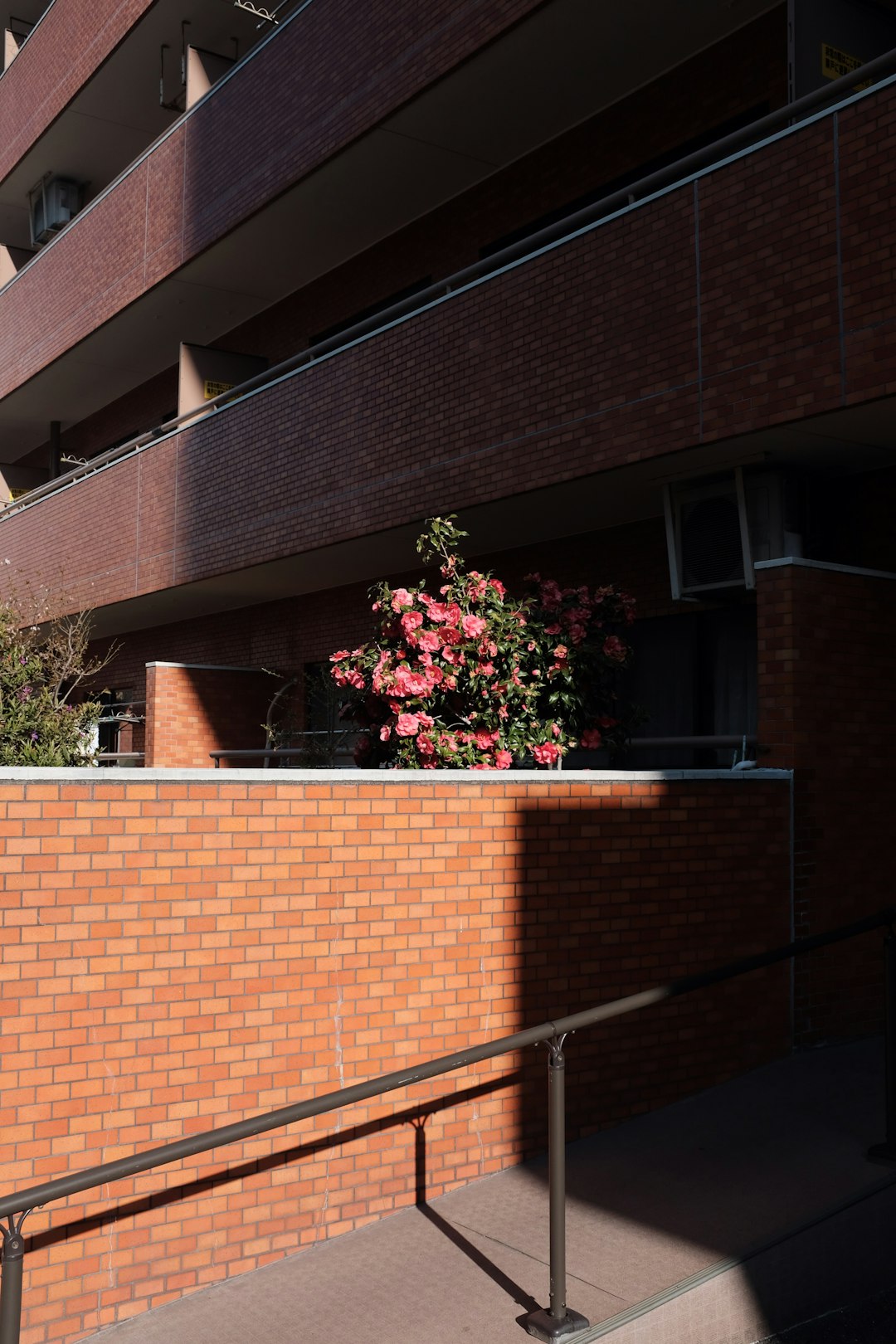 red and pink flowers on brown brick wall