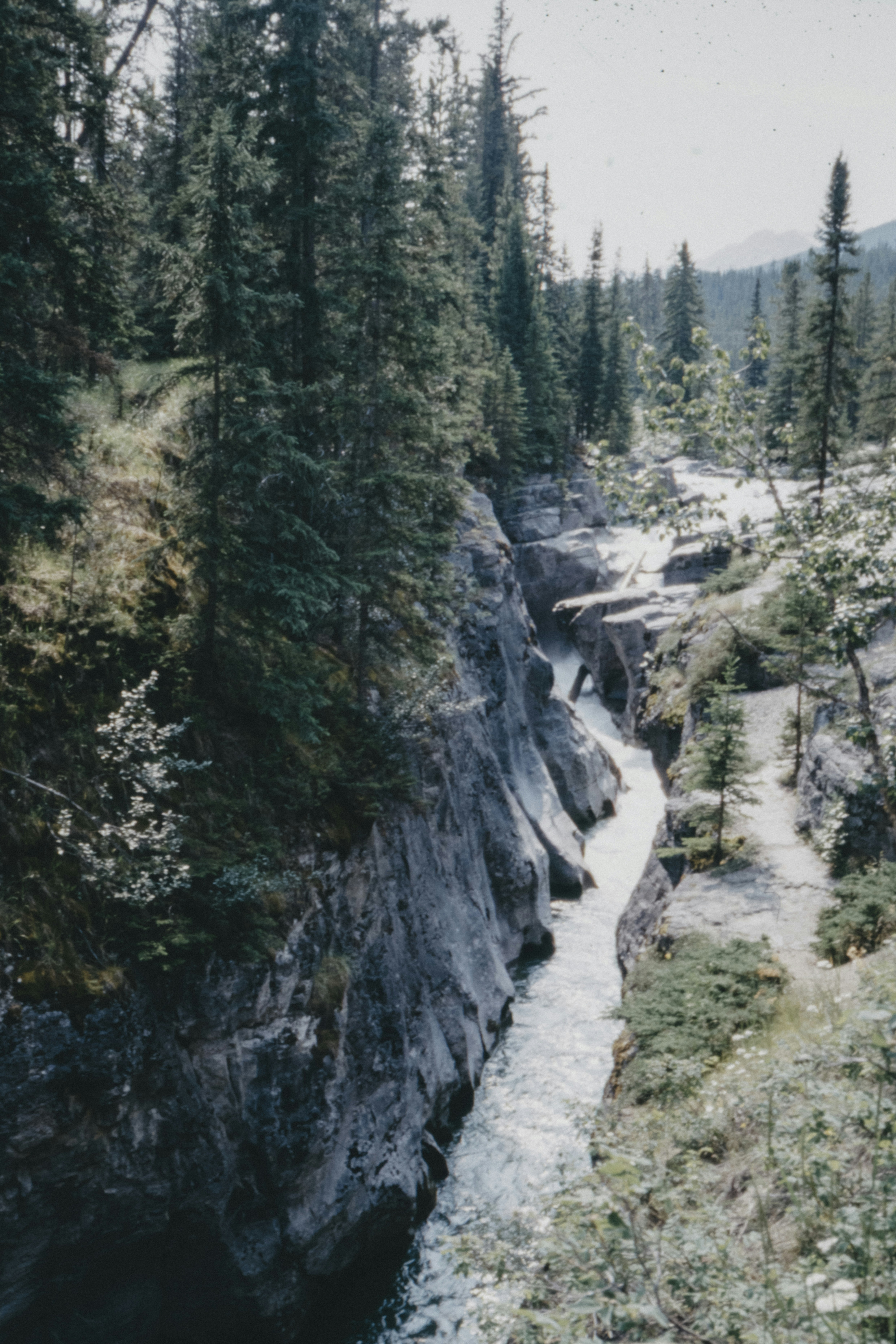 Photo by anniespratt