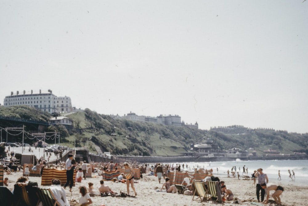 people on beach during daytime