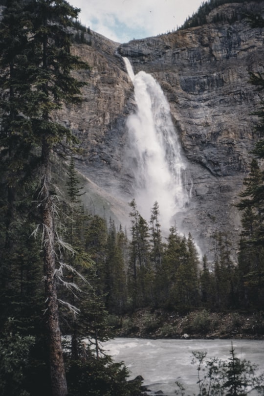 green pine trees near waterfalls during daytime in Takakkaw Falls Canada