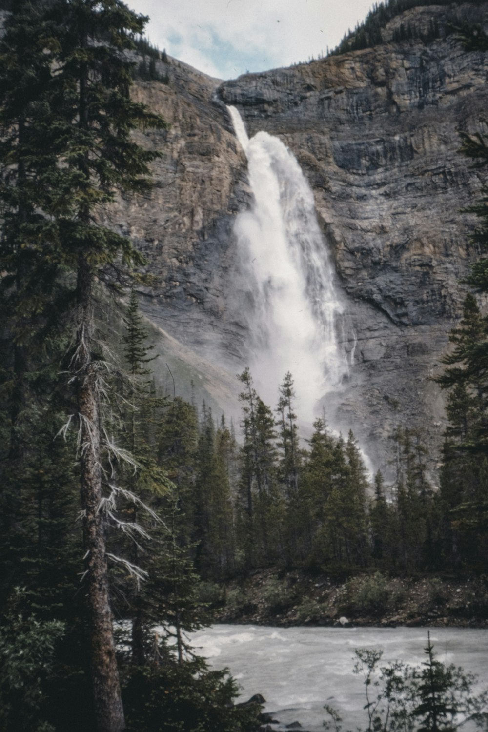 green pine trees near waterfalls during daytime