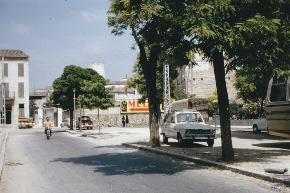 white car parked near green tree during daytime