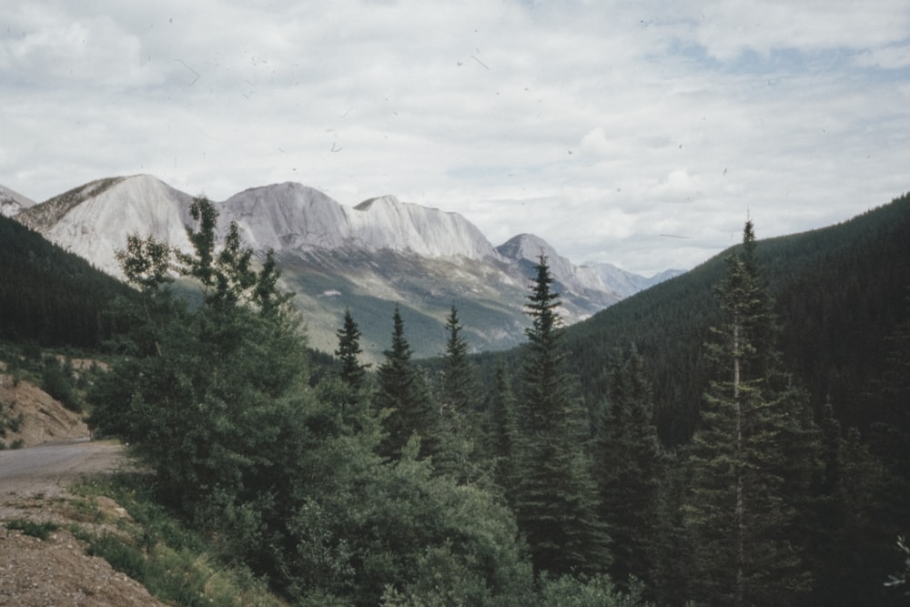 green trees near mountain under white clouds during daytime