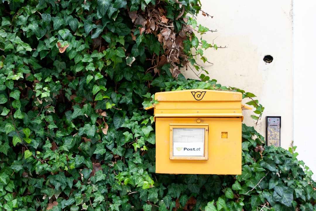 yellow mail box on green plant
