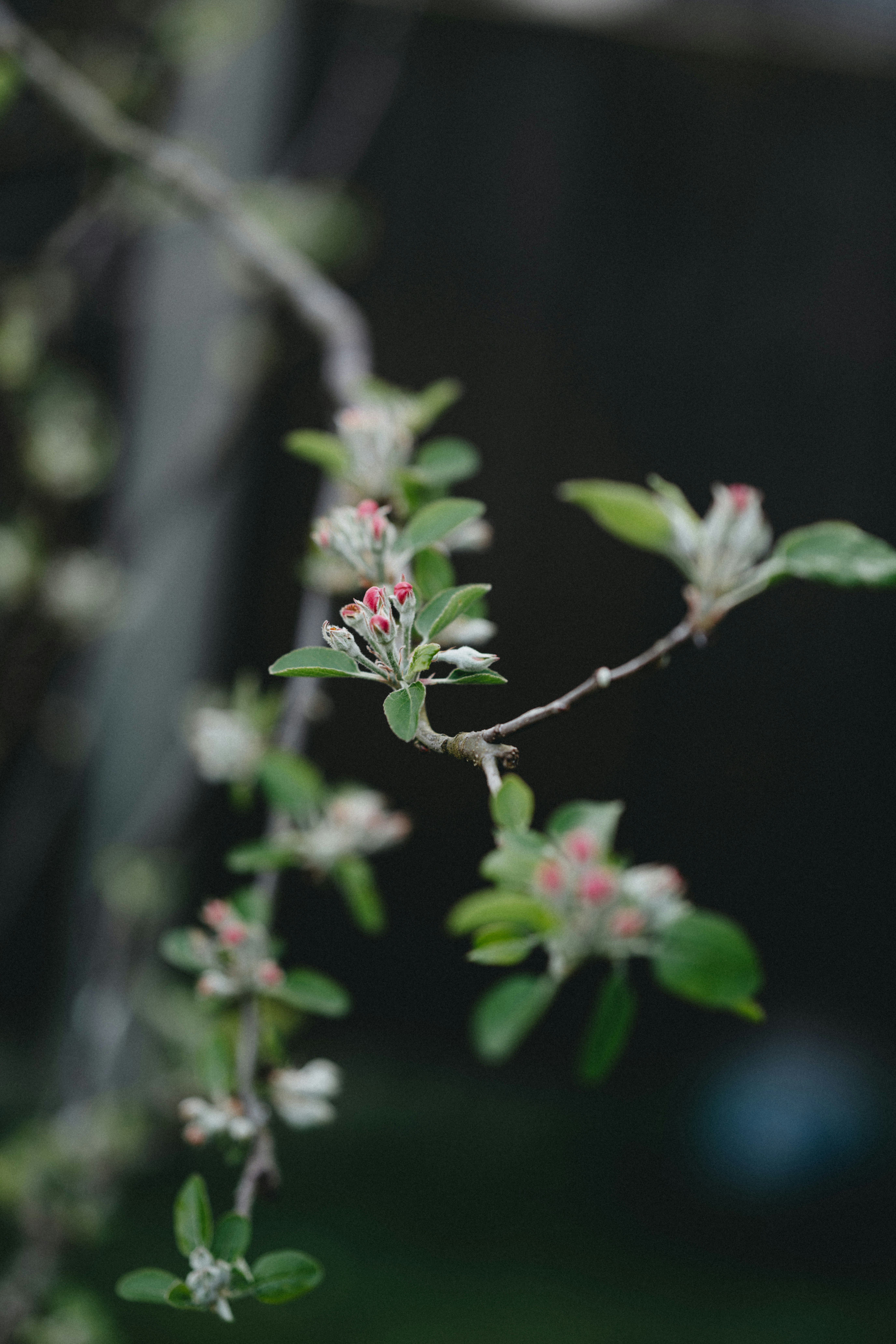 Photo by anniespratt