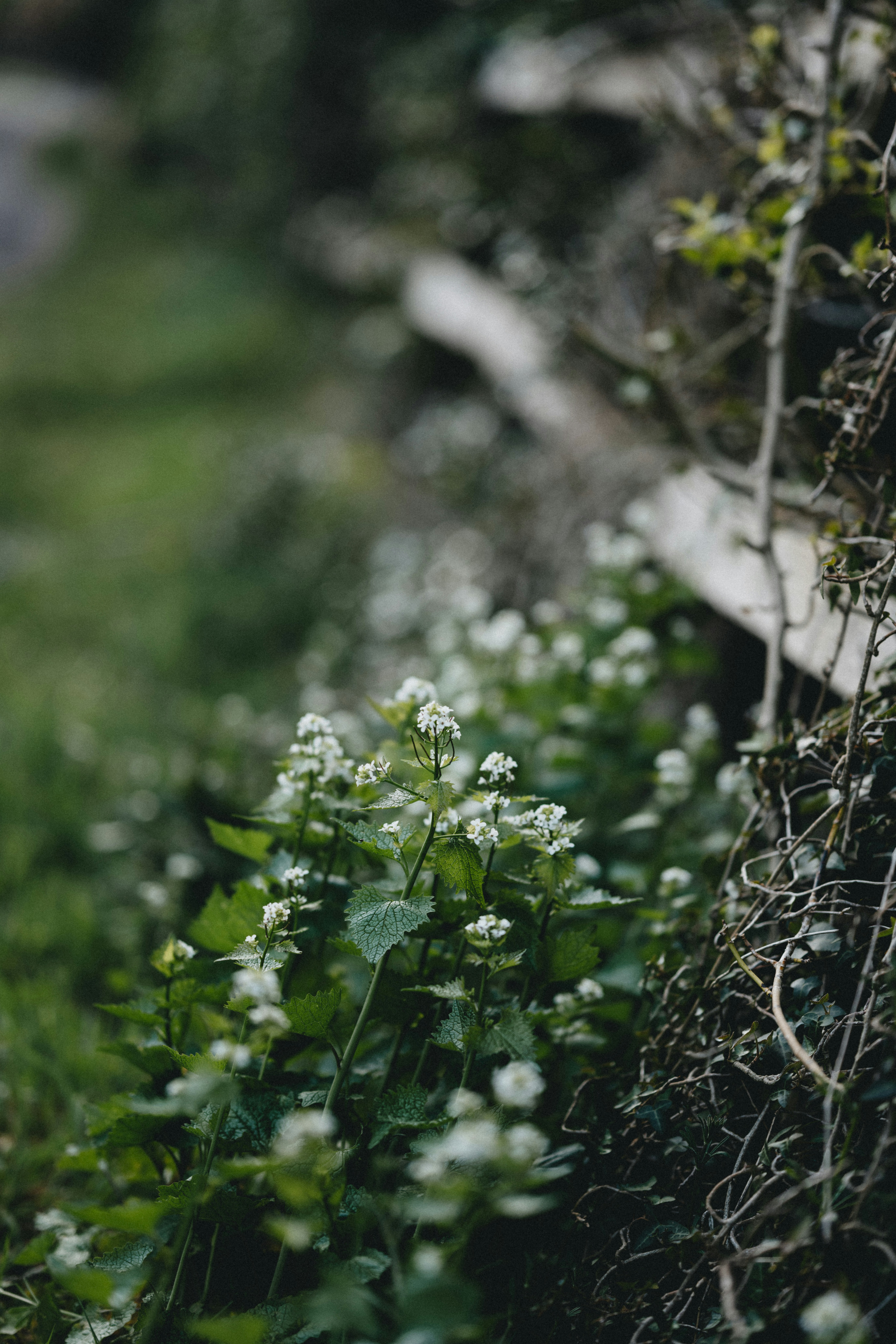 Photo by anniespratt
