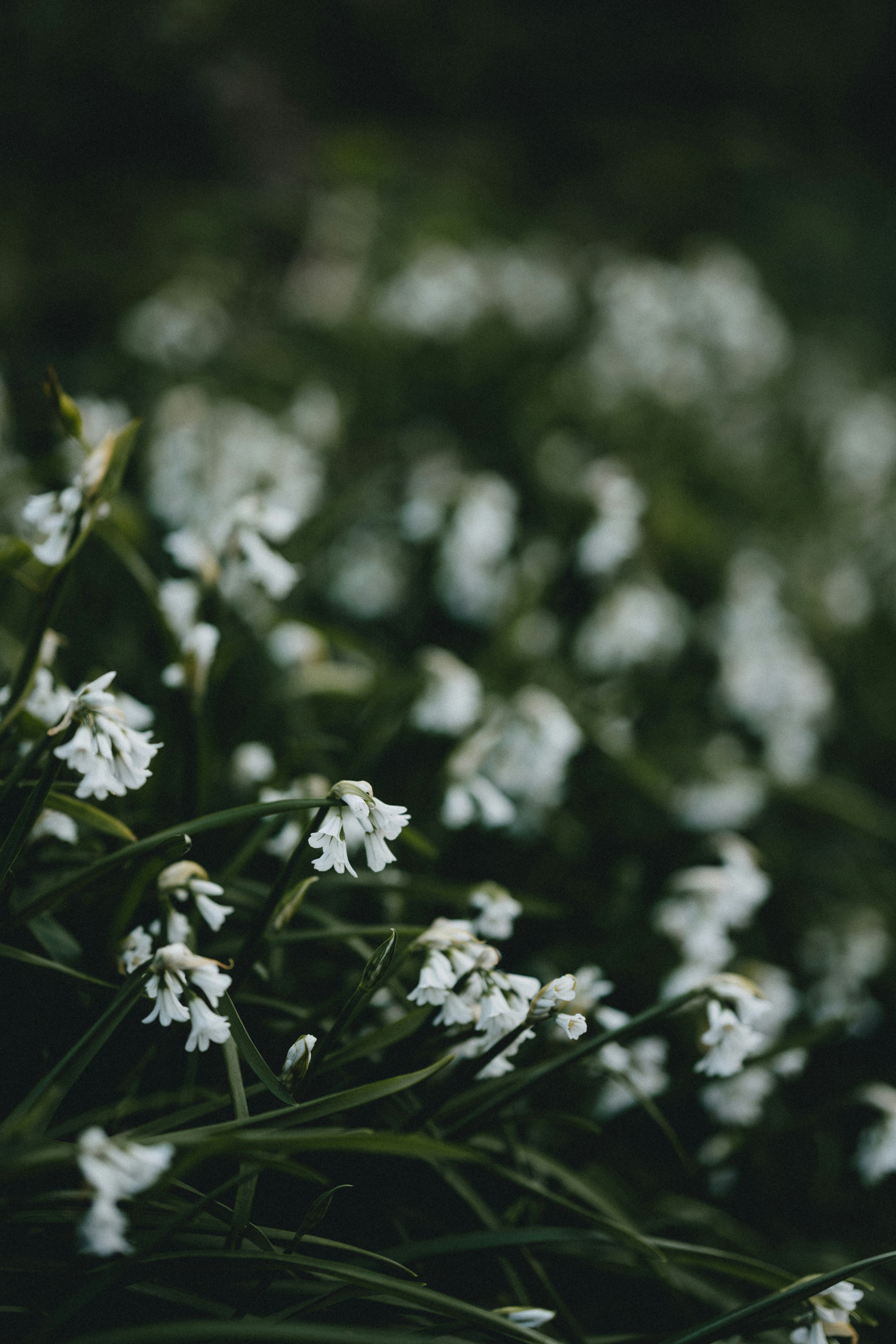 Photo by anniespratt