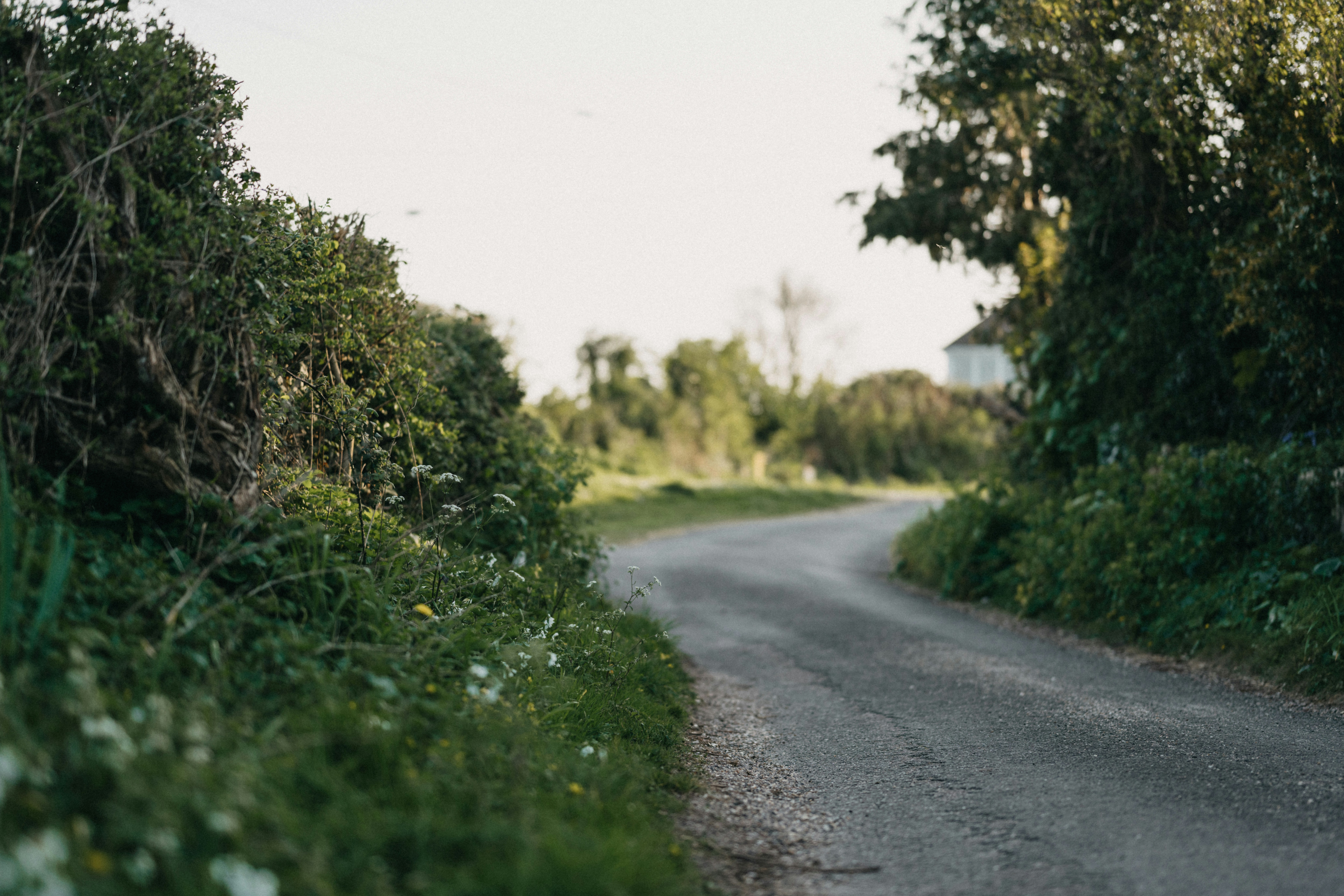 Photo by anniespratt