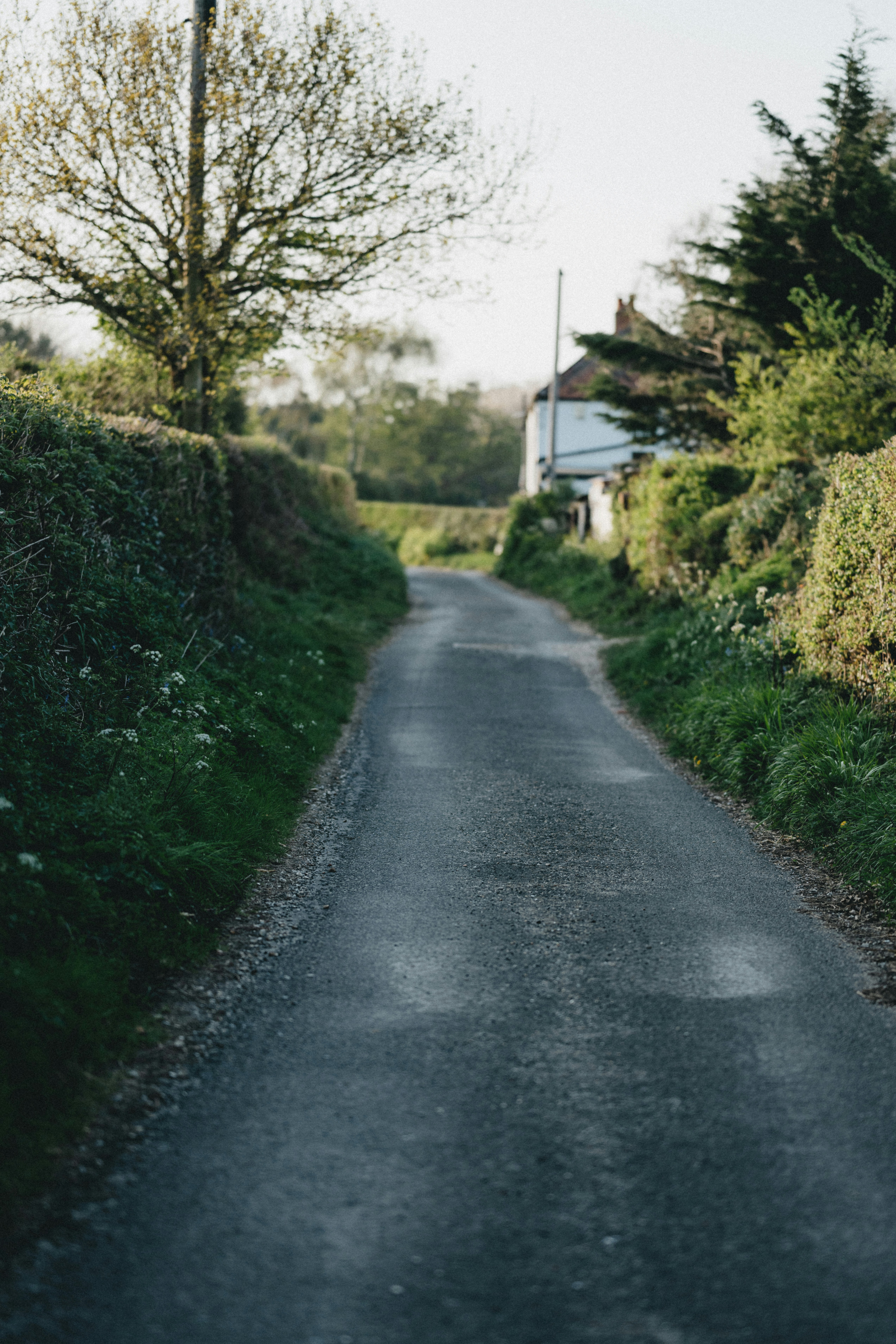 Photo by anniespratt