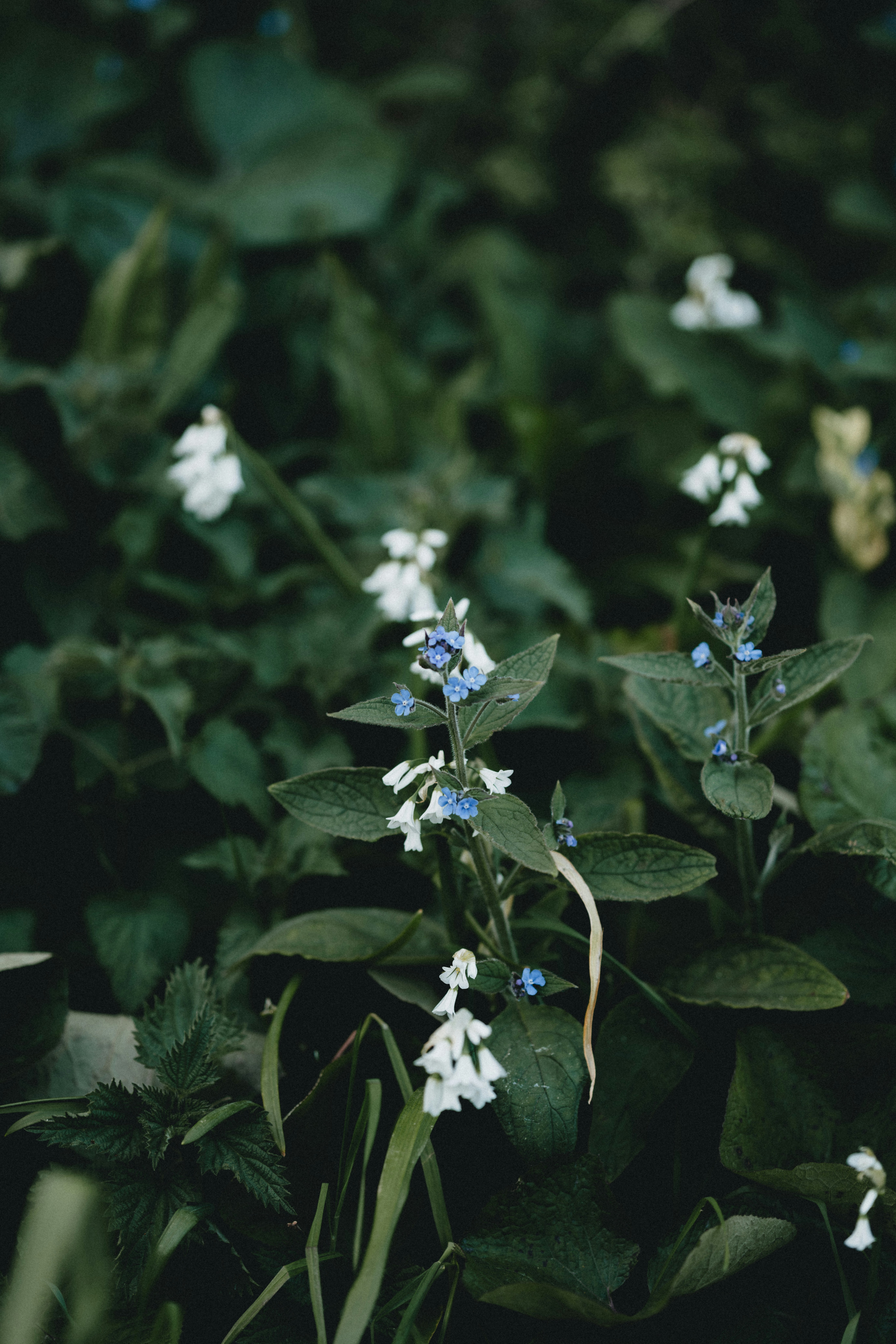 Photo by anniespratt