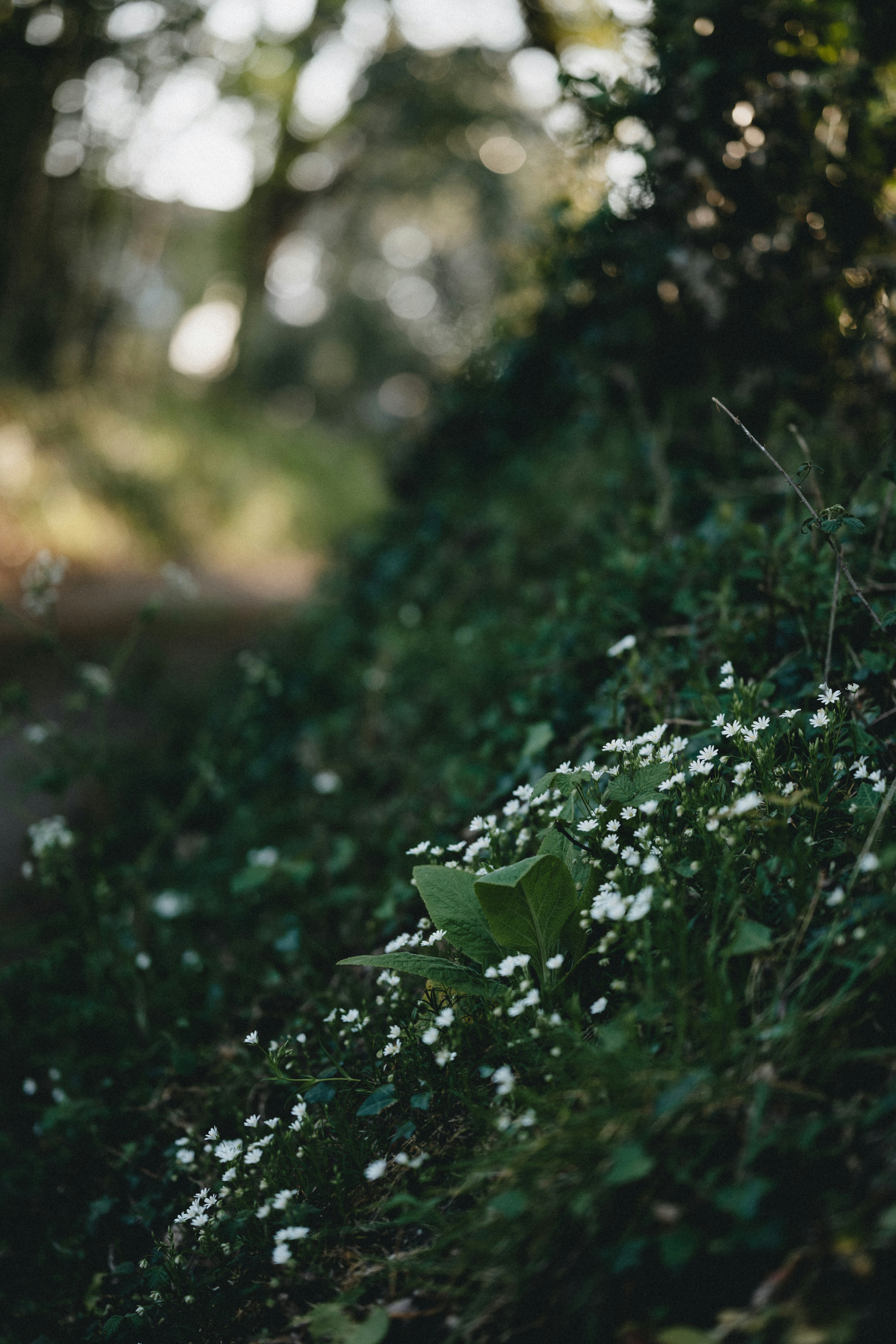 Photo by anniespratt