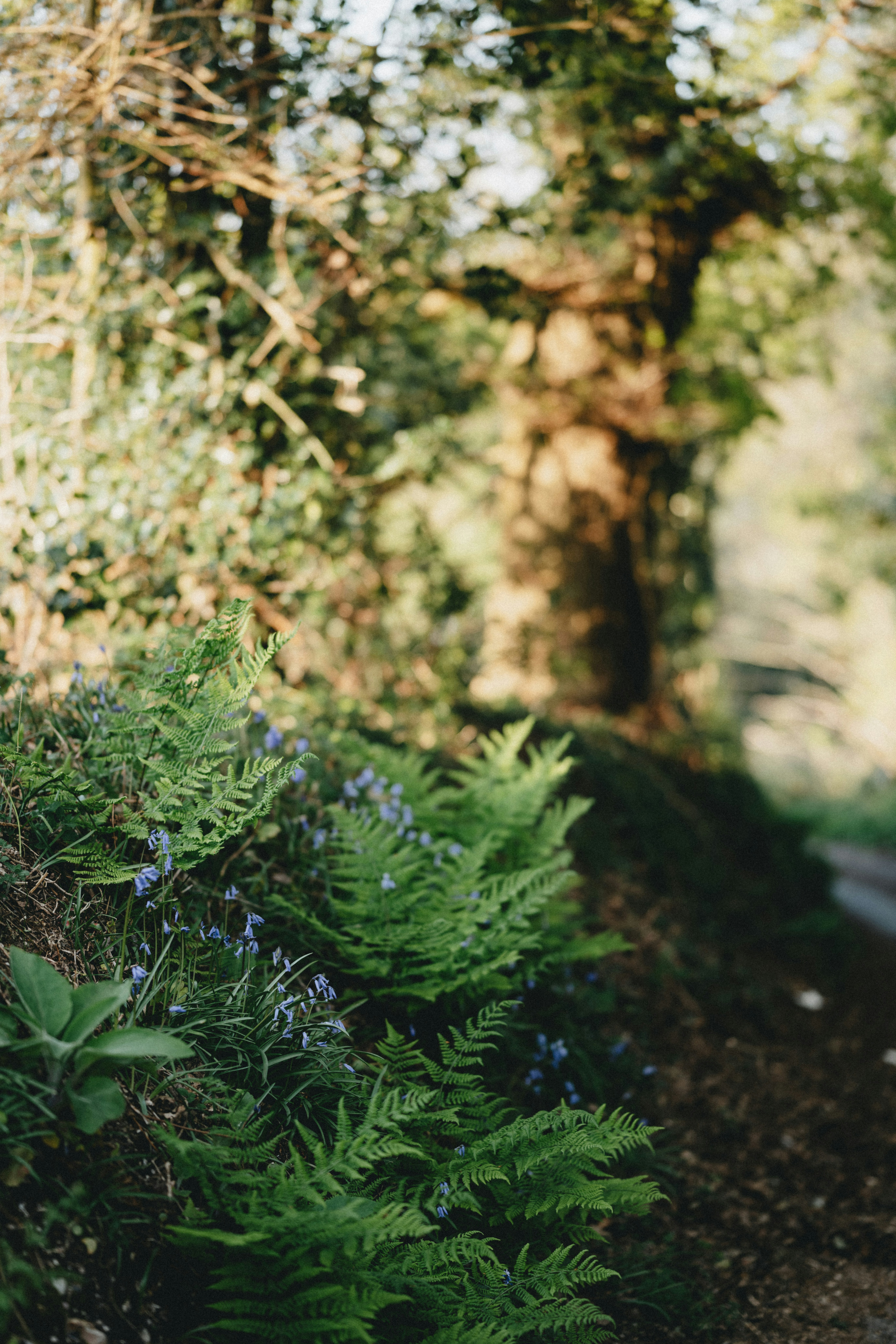 Photo by anniespratt