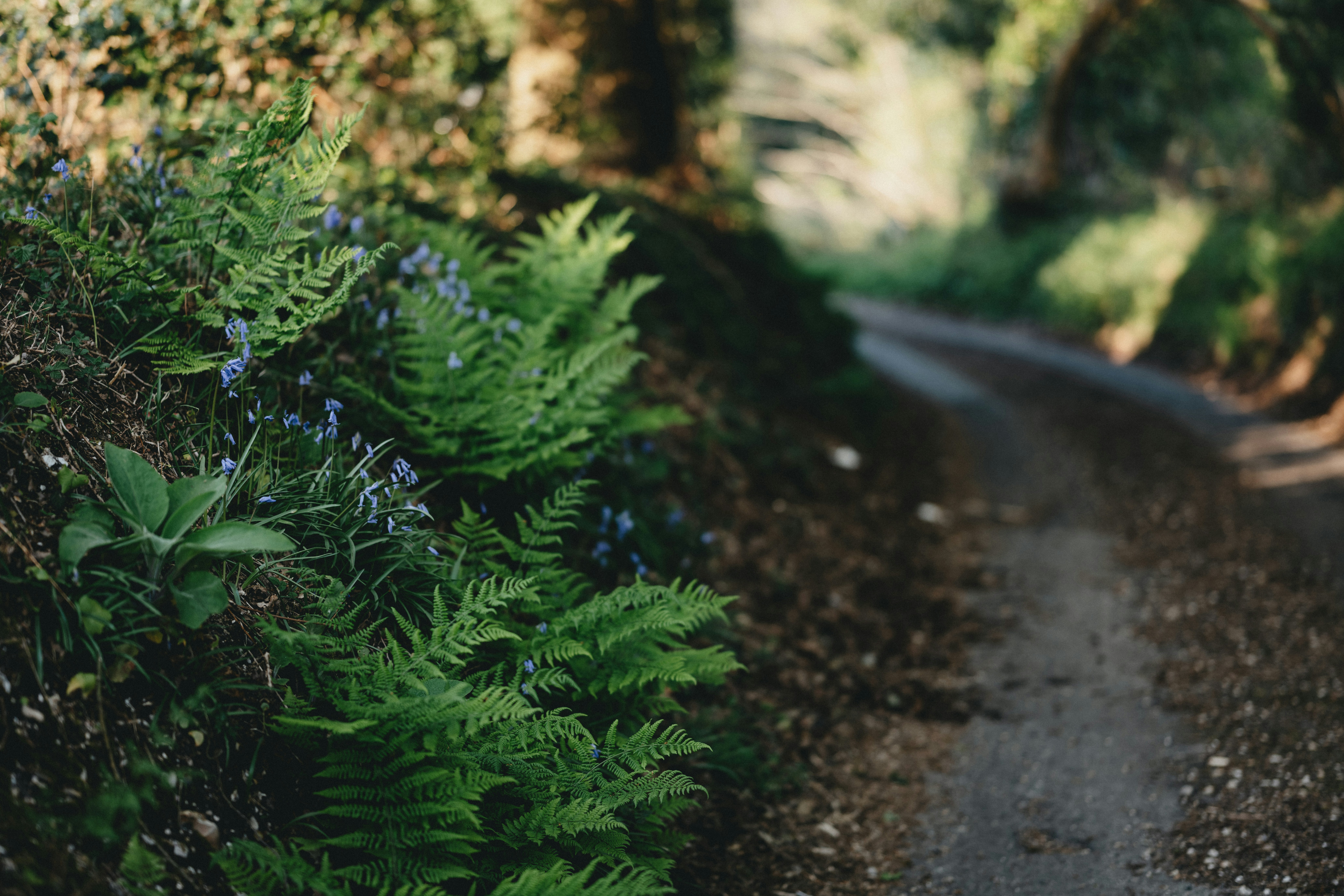 Photo by anniespratt