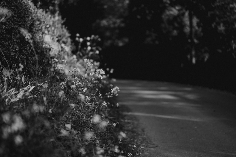 grayscale photo of road with trees