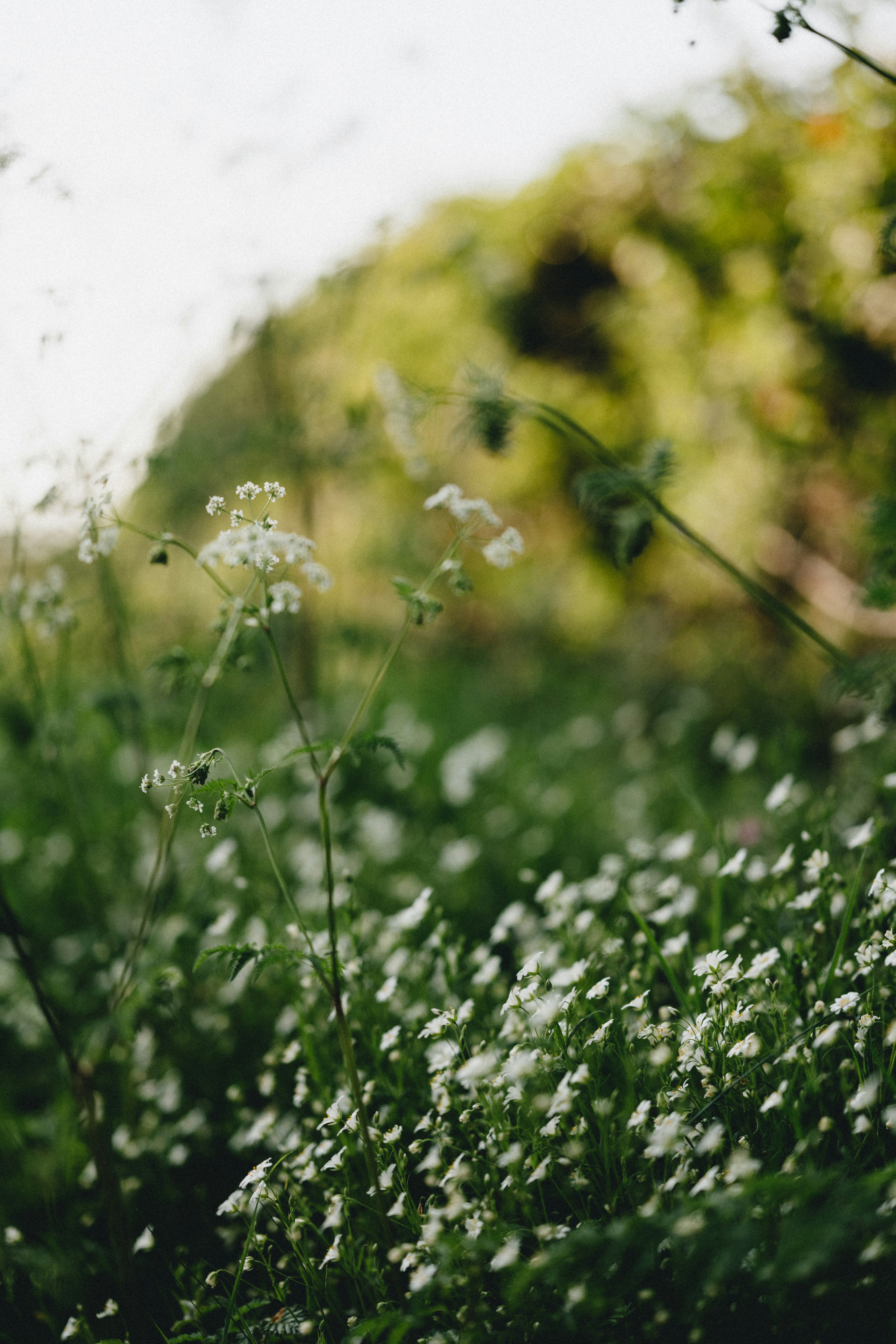 Photo by anniespratt