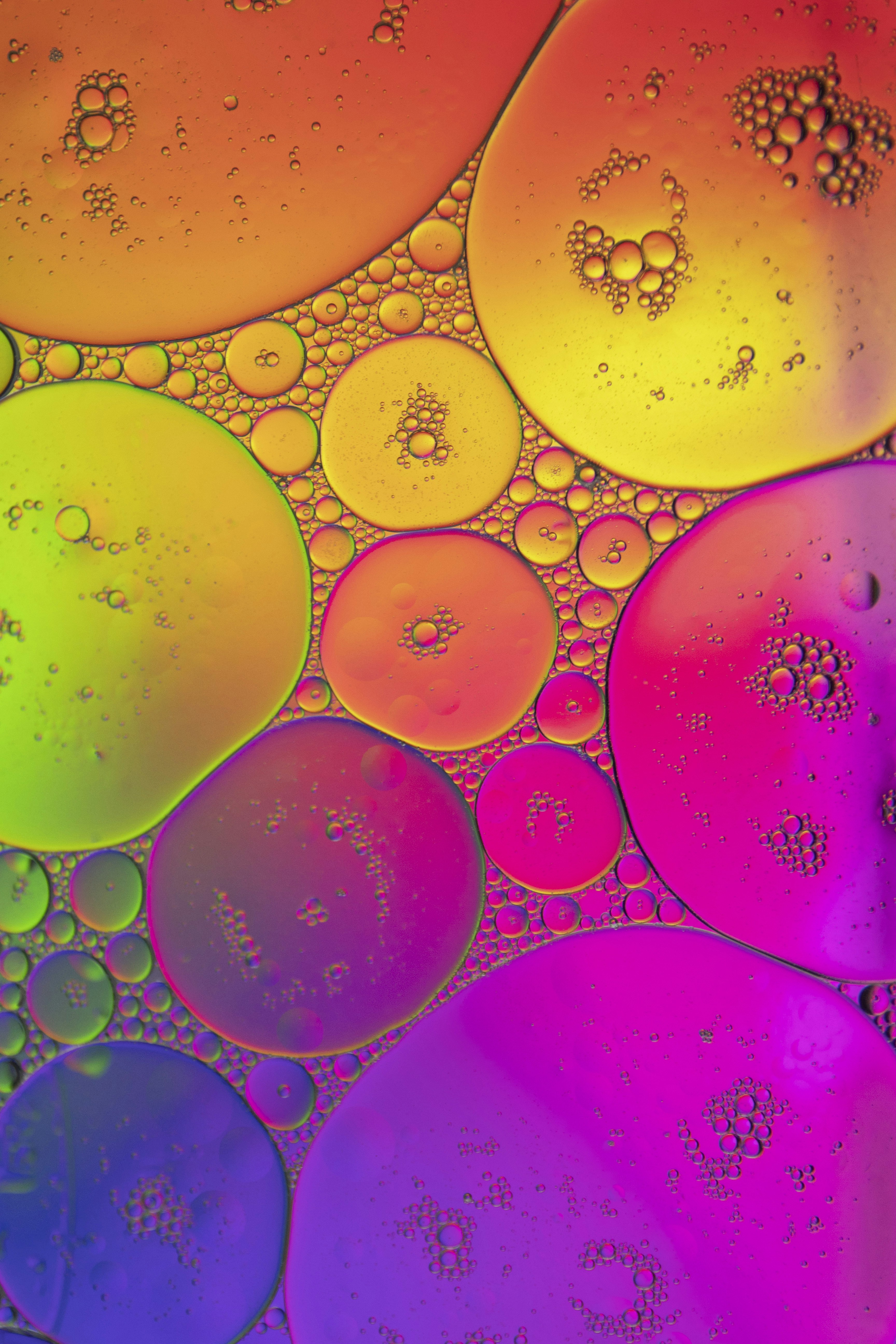 The sustainability argument for open science? In conversation with the authors.