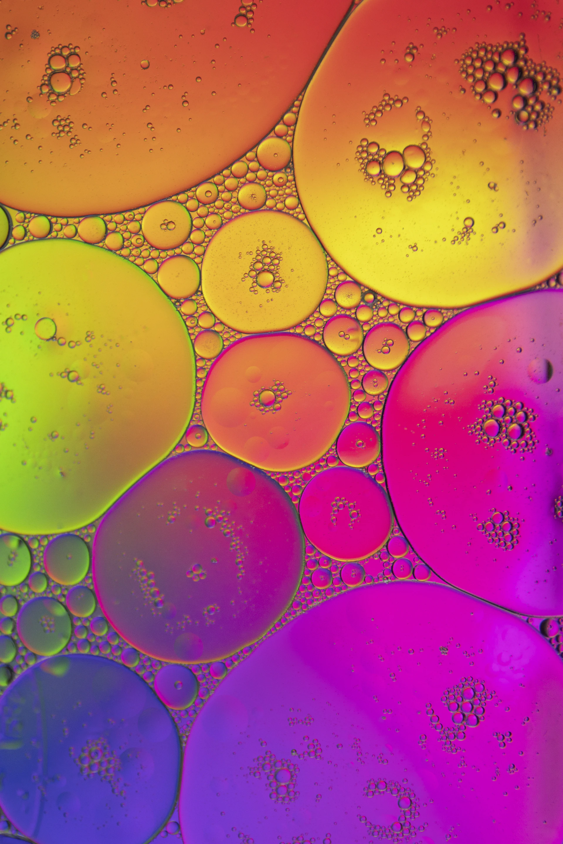 green and yellow round illustration