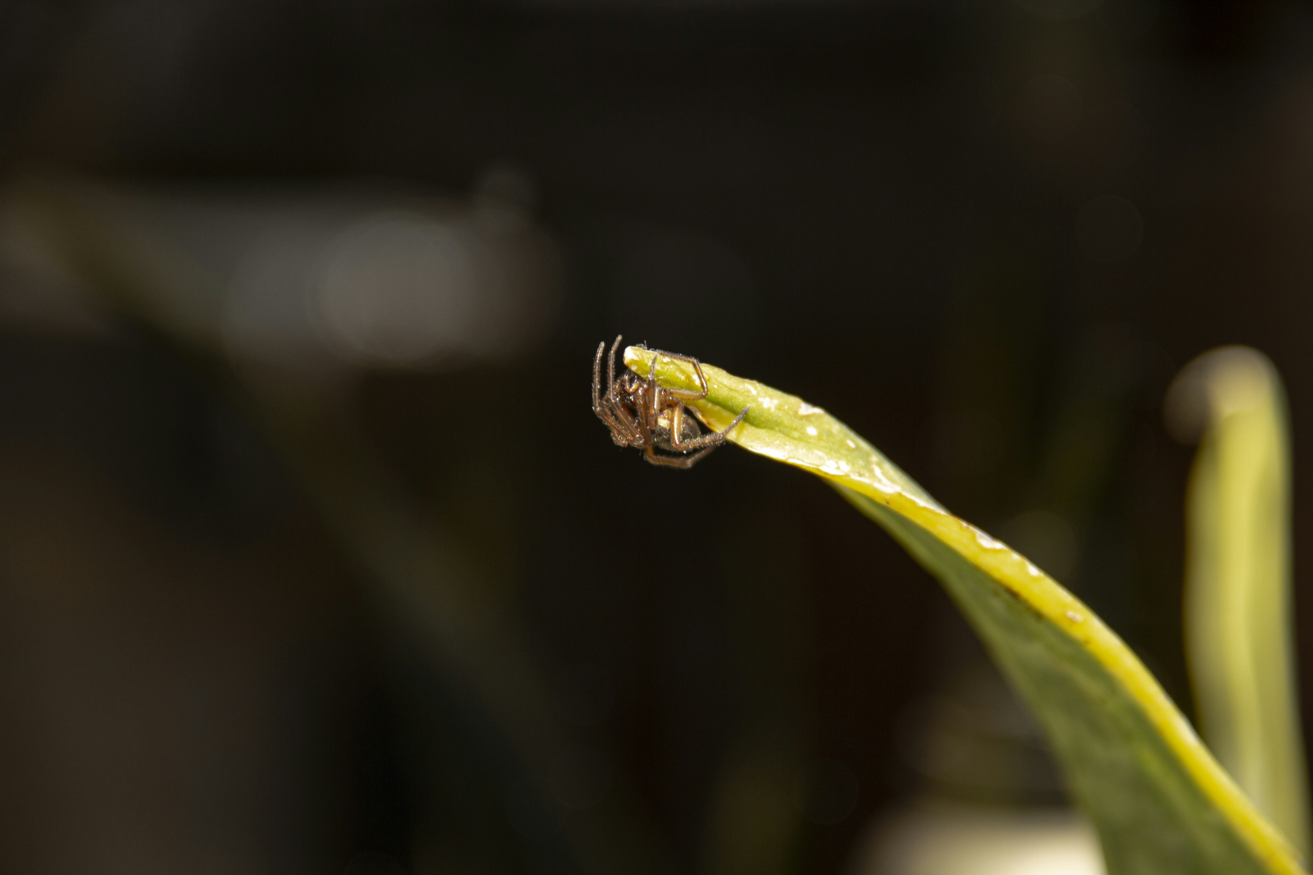 Photo by andresloquesea