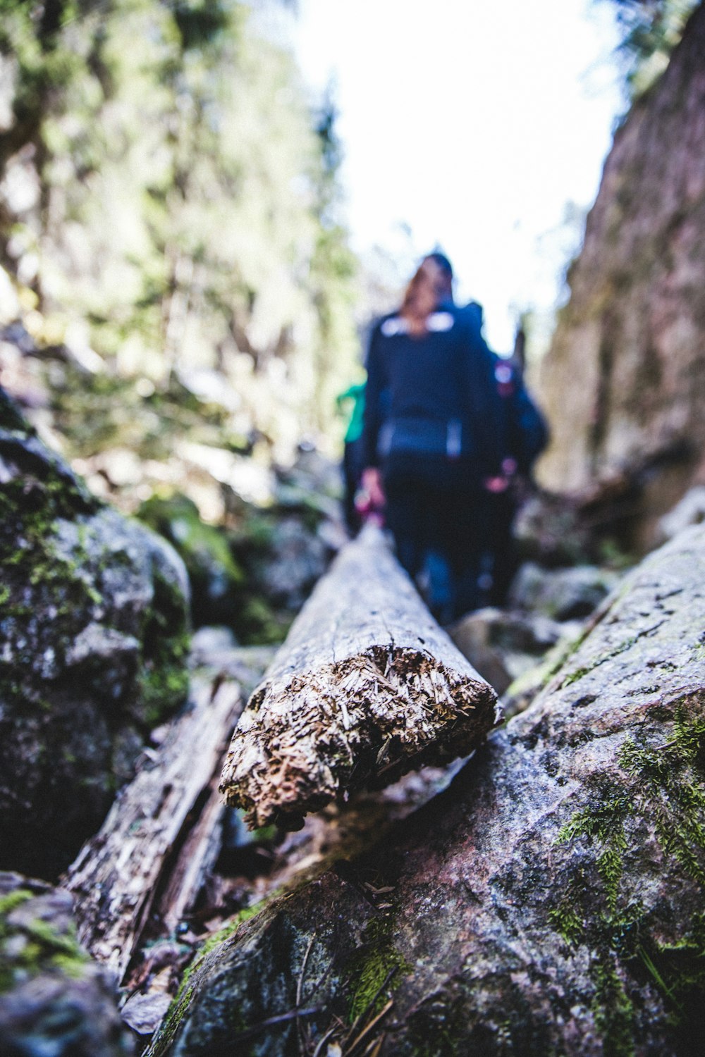 person in black jacket and black pants standing on brown tree log during daytime