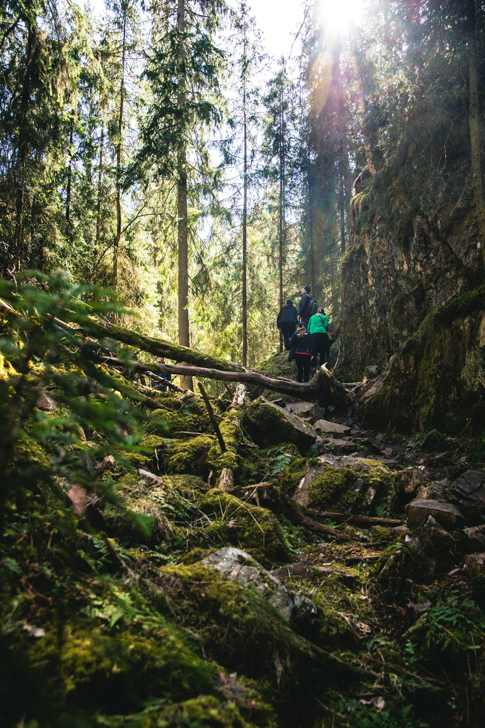 man in blue jacket and black pants walking on rocky pathway in the woods during daytime