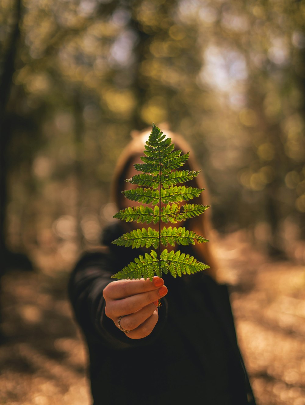 person holding green leaf during daytime