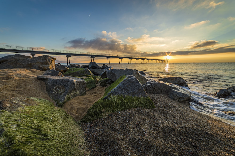 brown wooden bridge over the sea during daytime