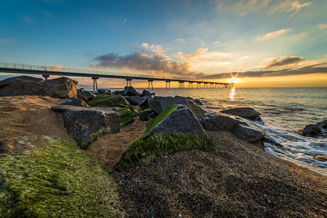 brown wooden bridge over the sea during daytime