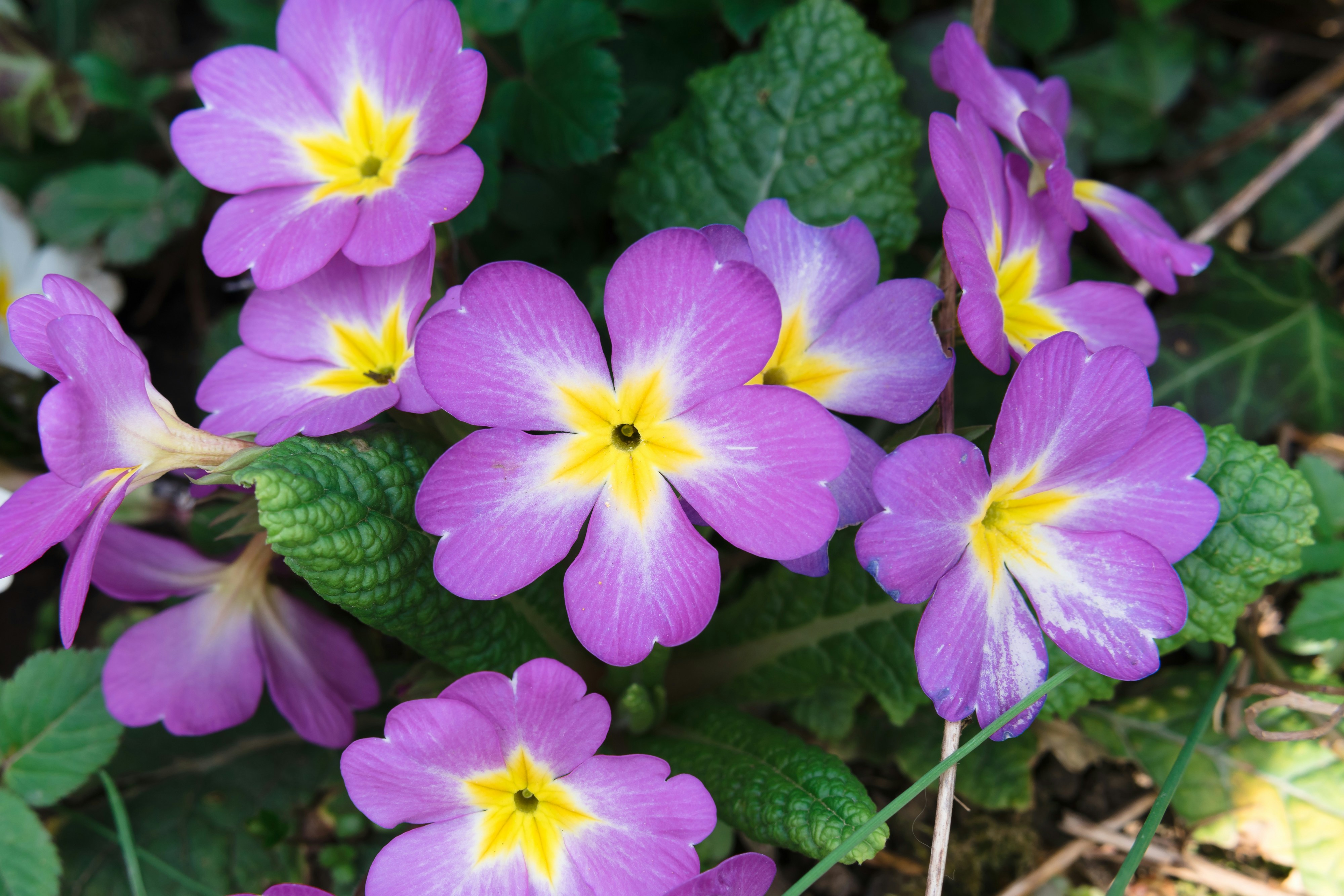 Photo by markuswinkler