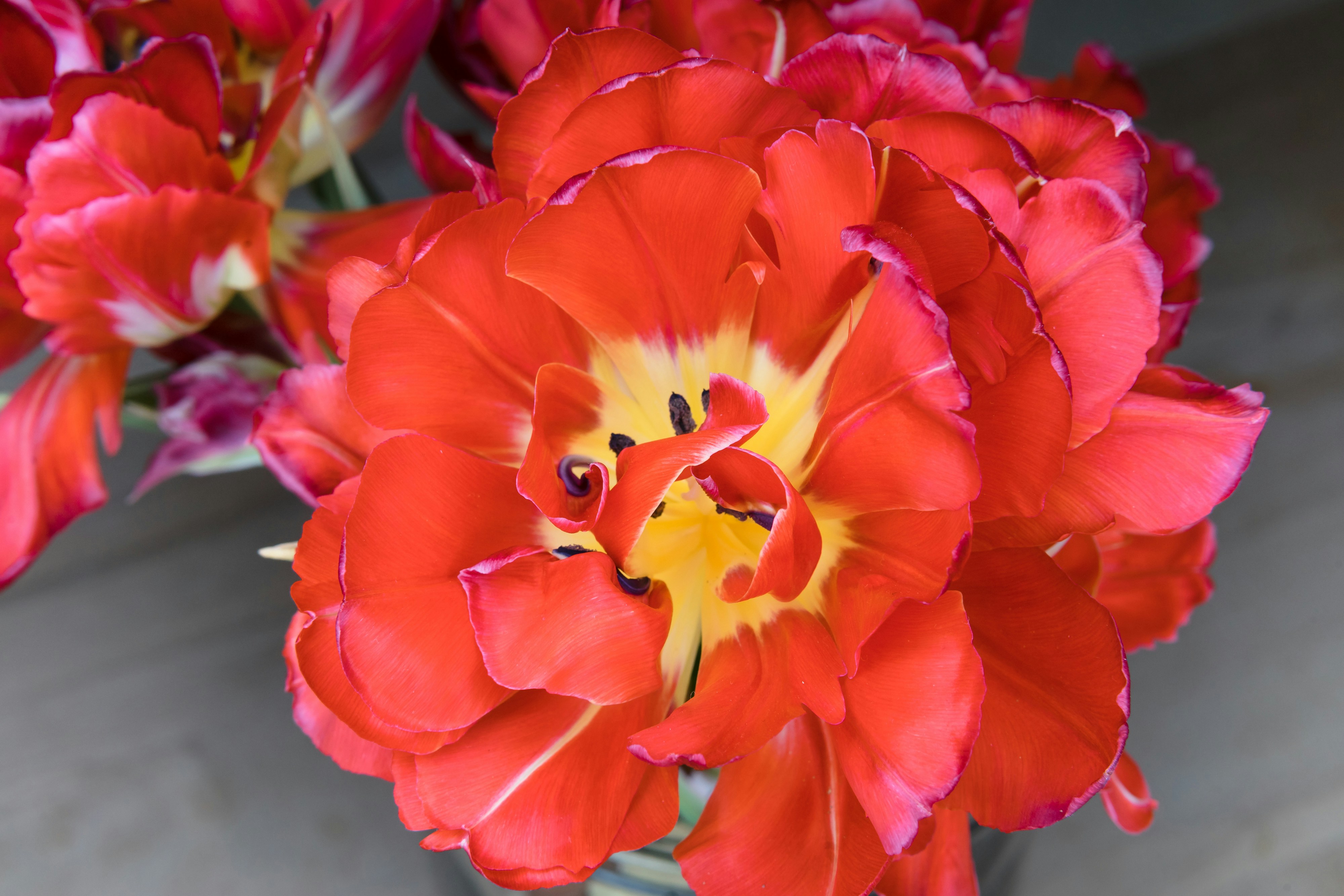 Photo by markuswinkler