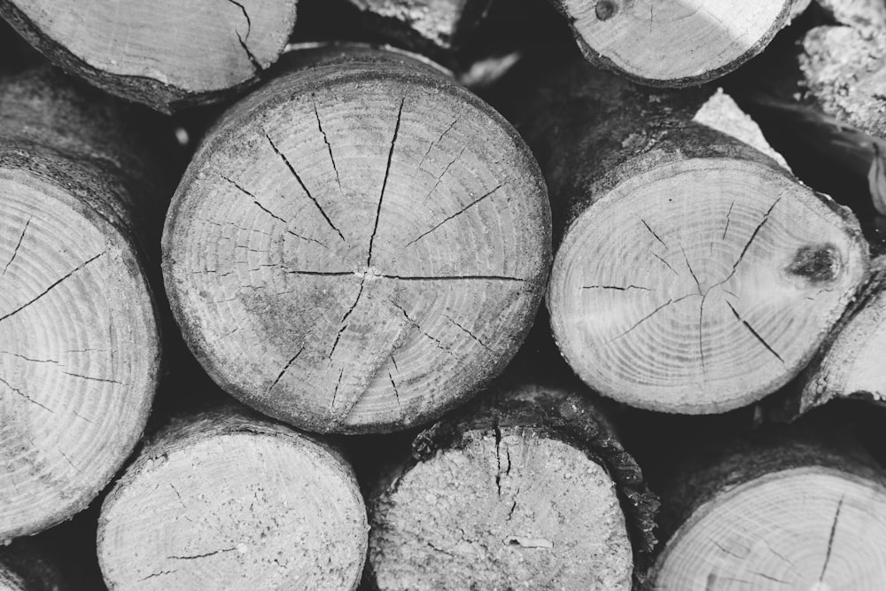 brown wooden log in close up photography