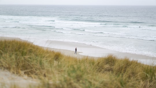 person walking on green grass near body of water during daytime in Borestranda Norway