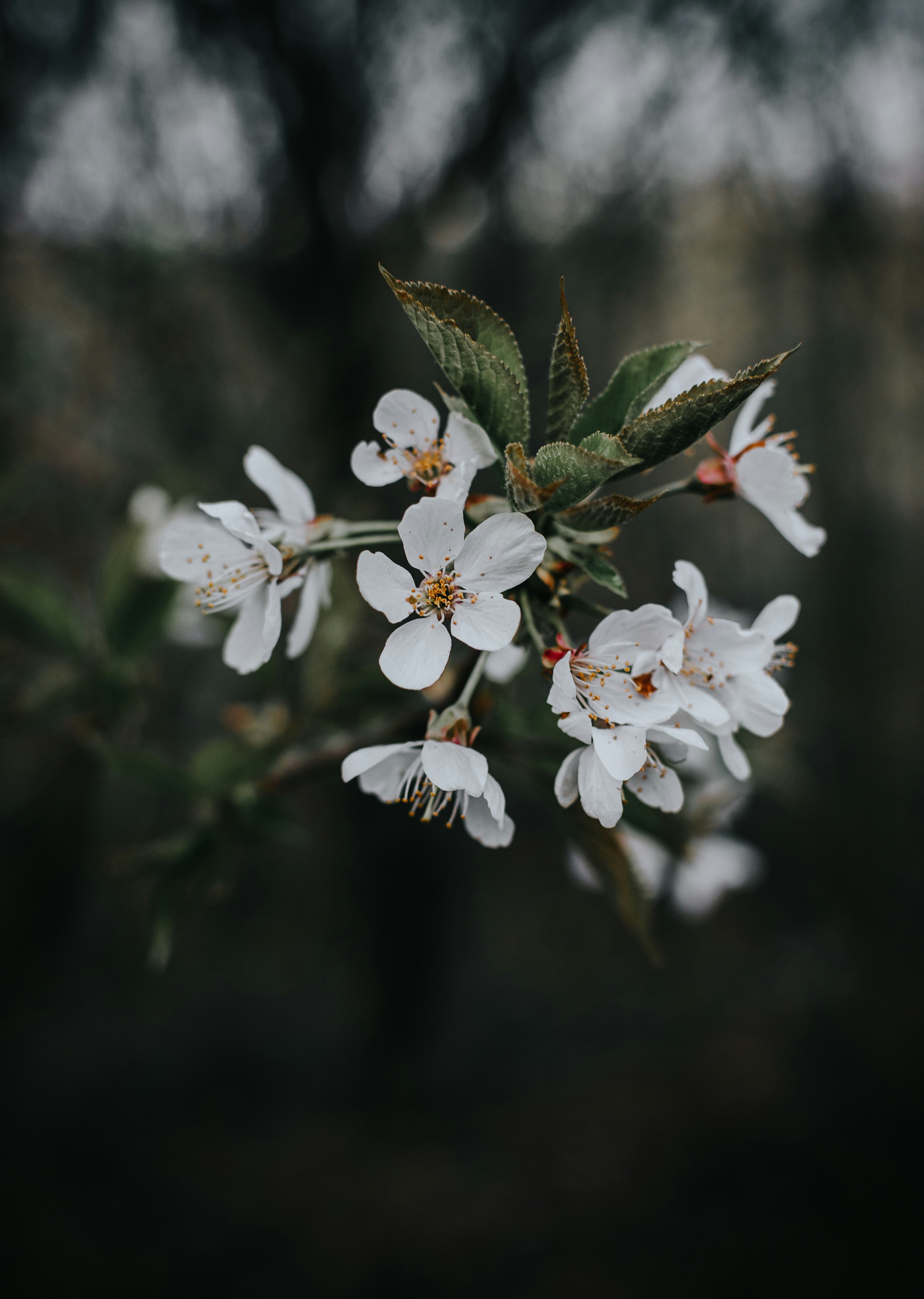 Photo by lebedych