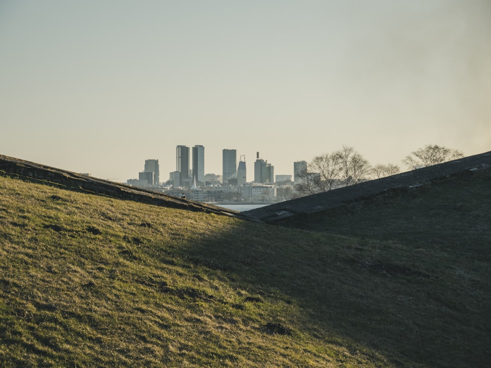 city skyline under white sky during daytime