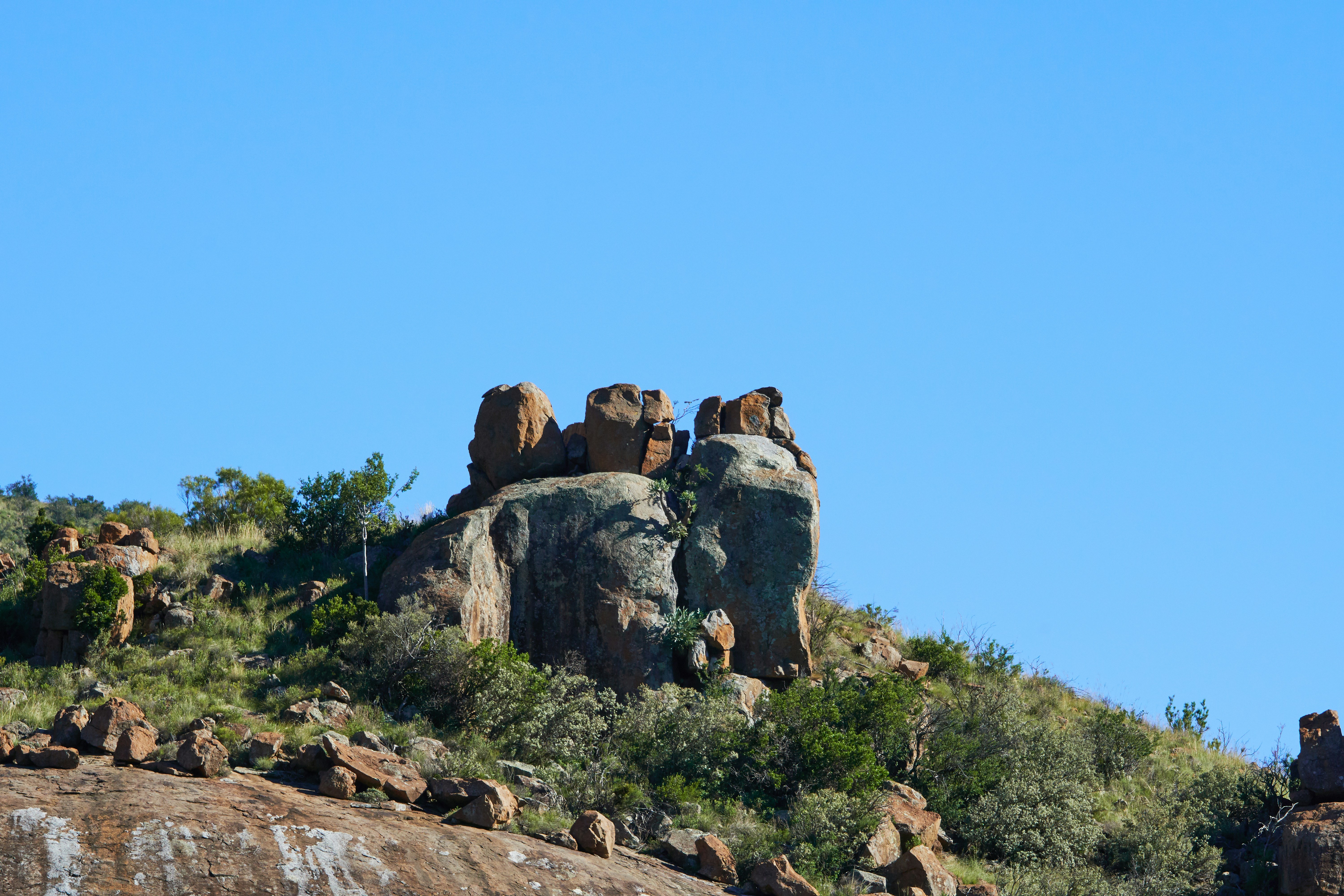 Photo by wolfgang_hasselmann