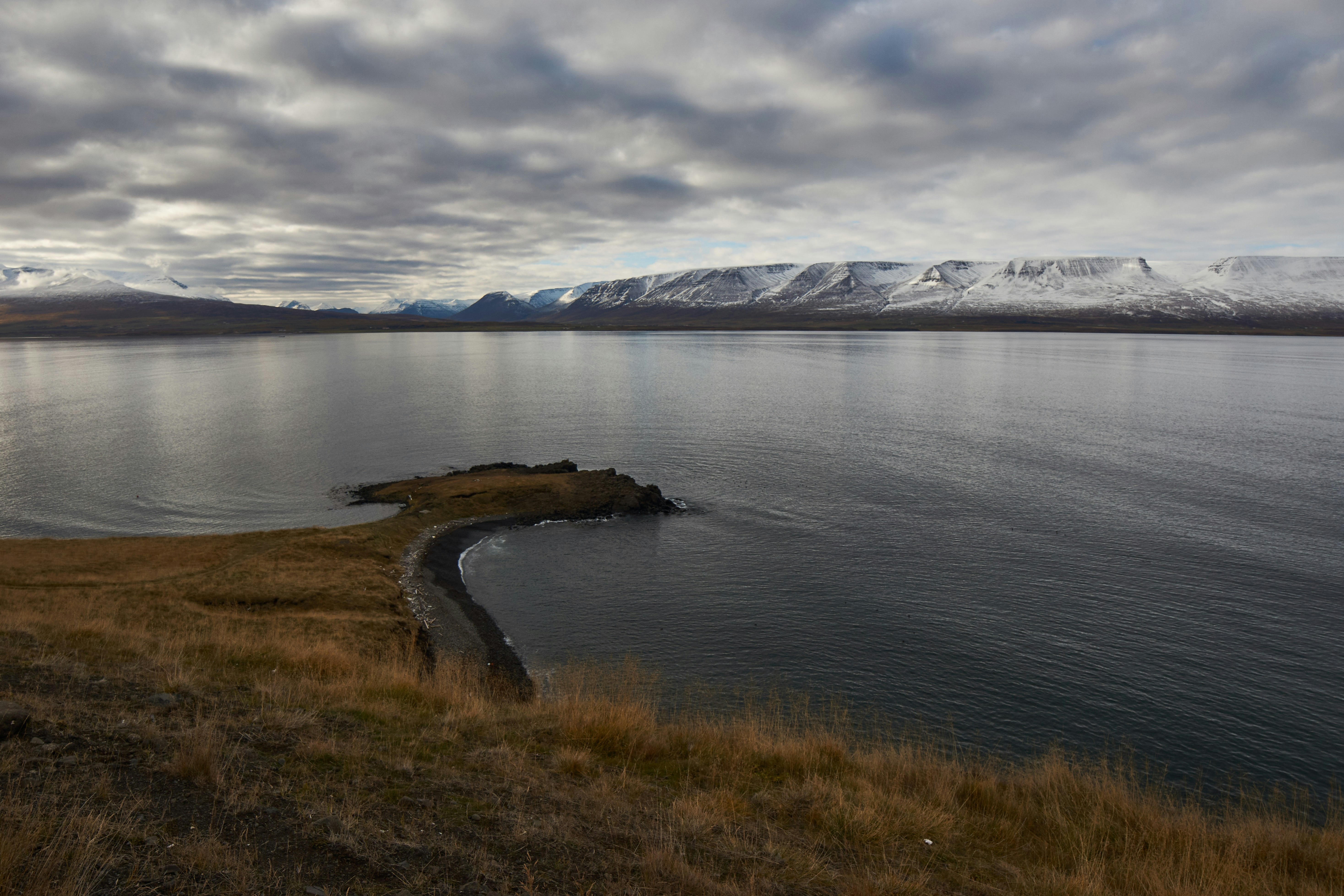 Photo by wolfgang_hasselmann