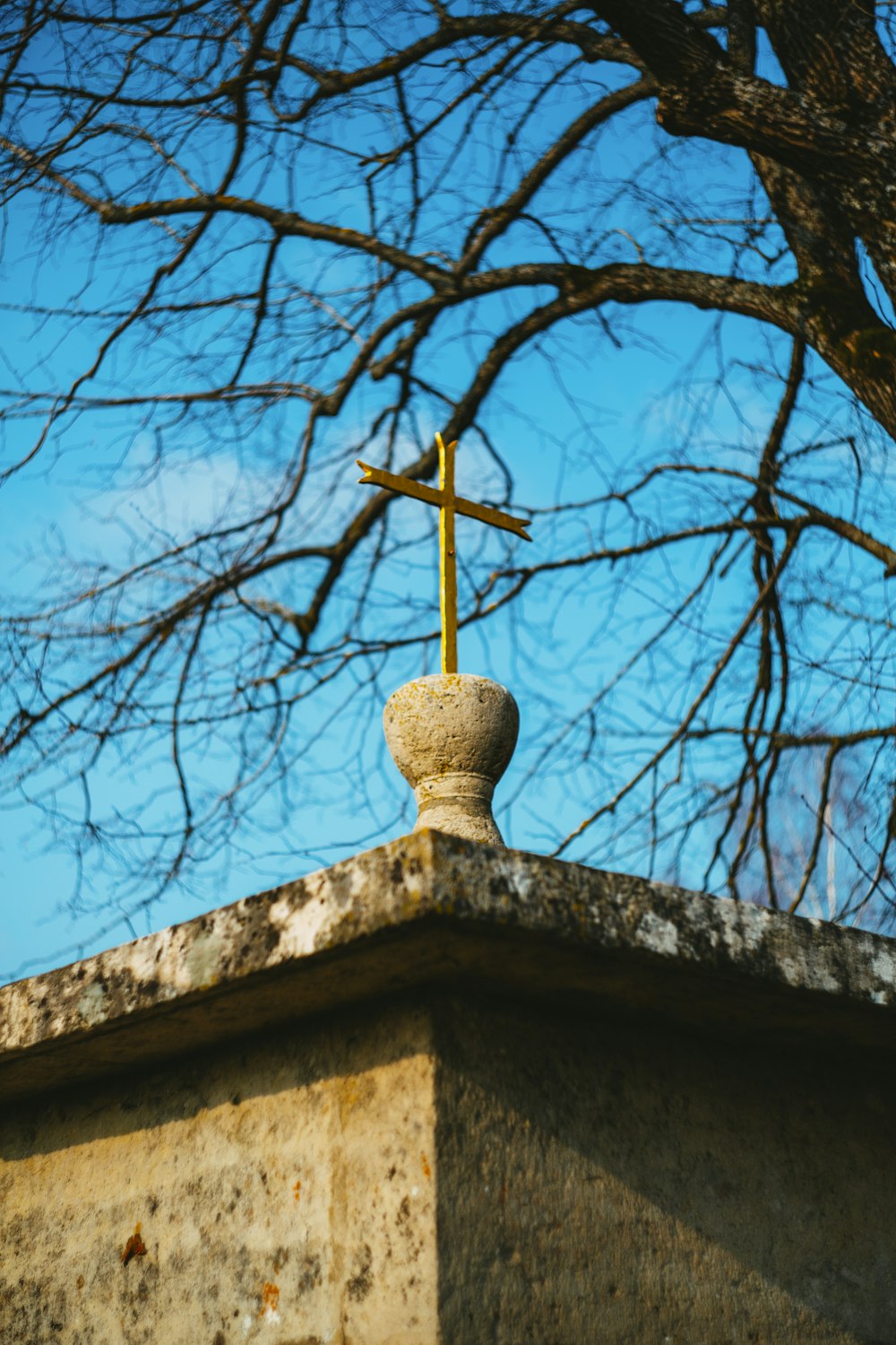 Árbol desnudo bajo el cielo azul durante el día