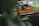 A vintage car interior with rich brown leather seats is partially obscured by green leaves, suggesting a natural setting. The reflections on the car windows and polished surfaces enhance the luxurious feel of the vehicle.