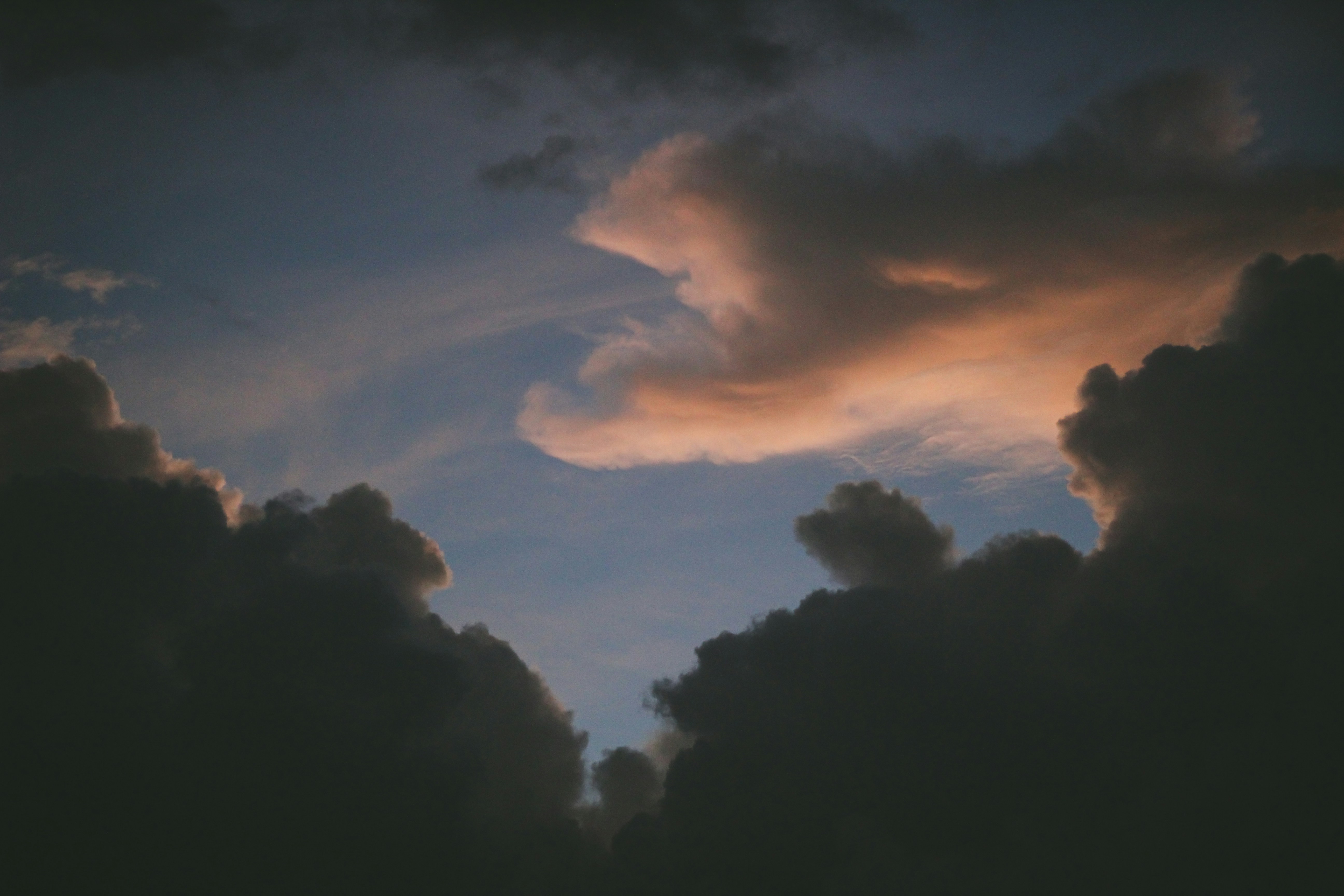 Photo by igorrodrigues