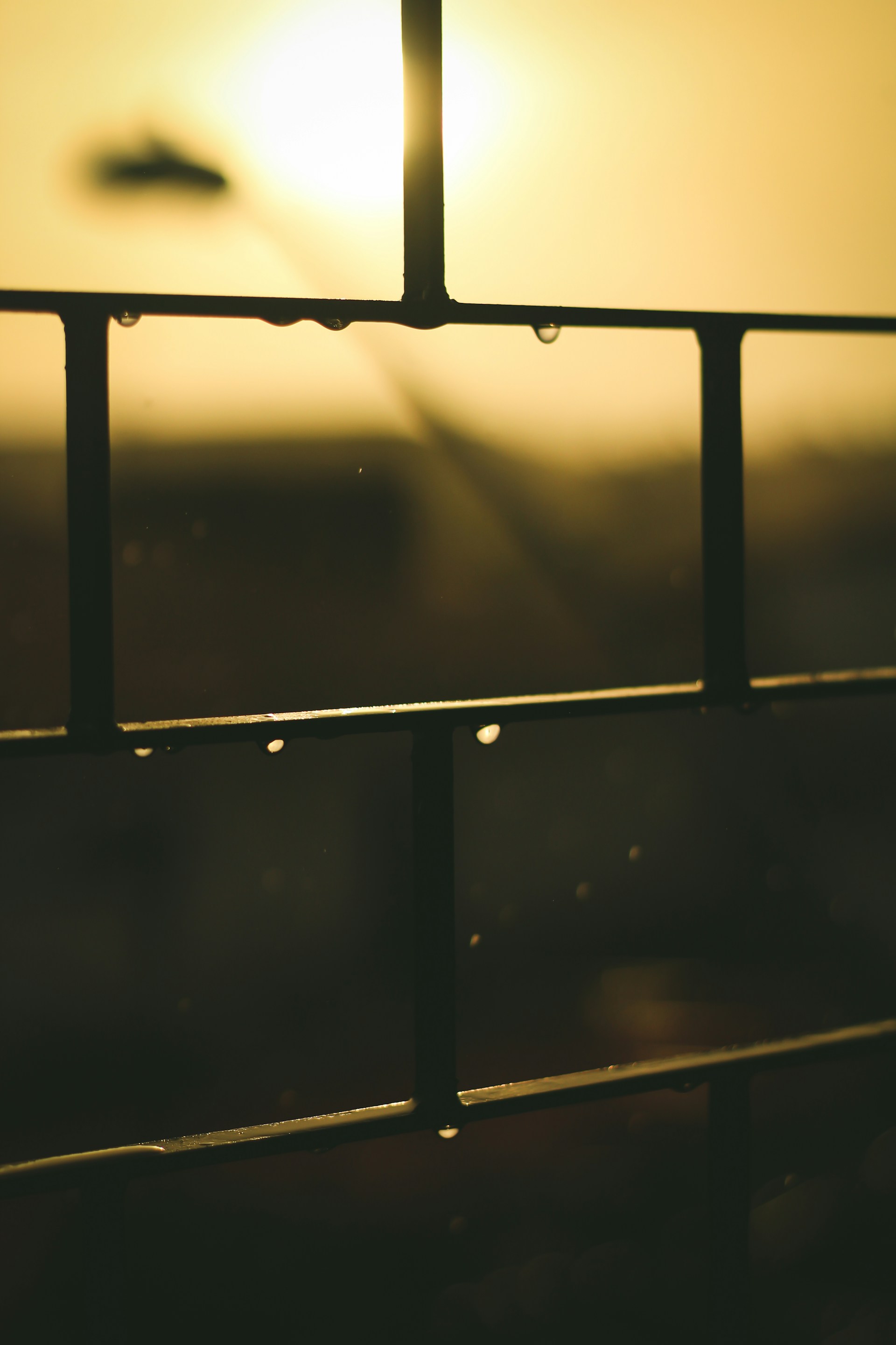 woman wearing yellow long-sleeved dress under white clouds and blue sky during daytime