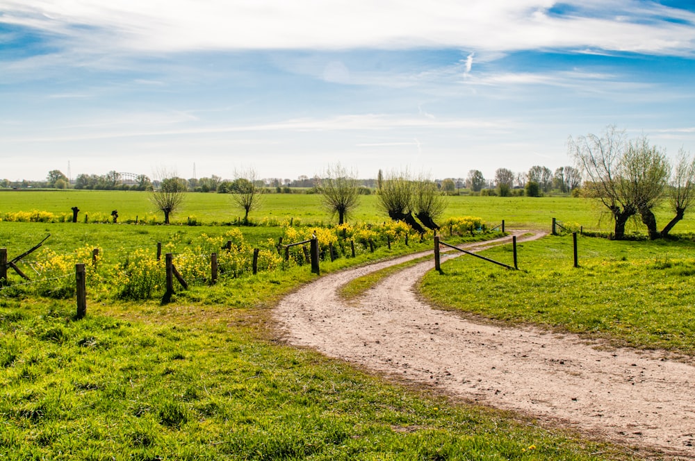 green grass field under blue sky during daytime