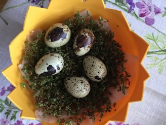 Five speckled quail eggs rest on a bed of green herbs within a bright yellow, flower-shaped dish. The background features a floral-patterned tablecloth with violet and green designs.