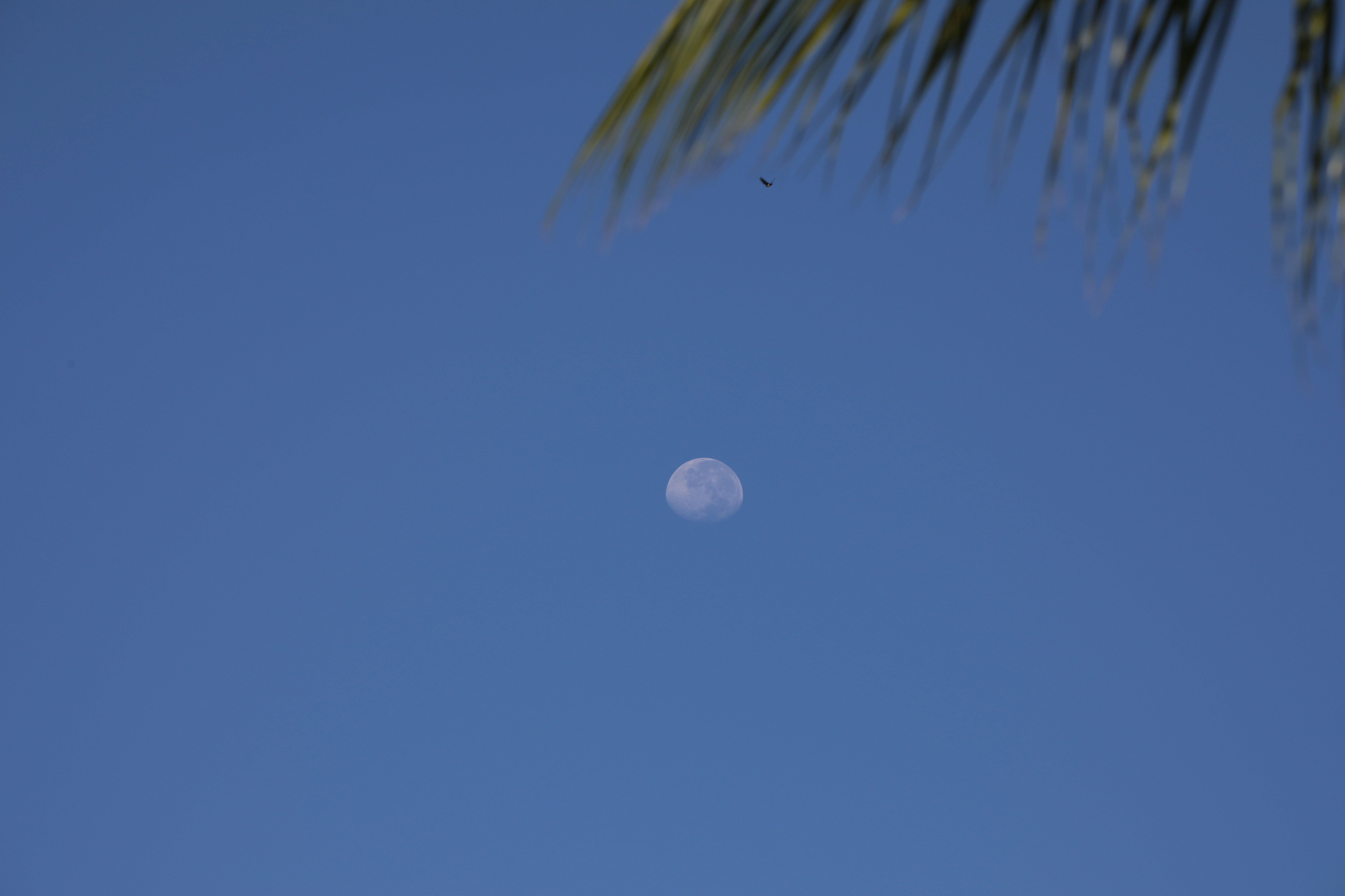 Photo by marcusdallcol