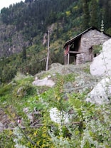 A rustic stone cottage with a pitched roof is situated on a lush, green hillside surrounded by dense forest. The structure appears weathered, with a small overhang at the front and patches of vegetation growing around it. Tall pine trees and a rocky landscape embrace the setting, creating a tranquil and secluded atmosphere.