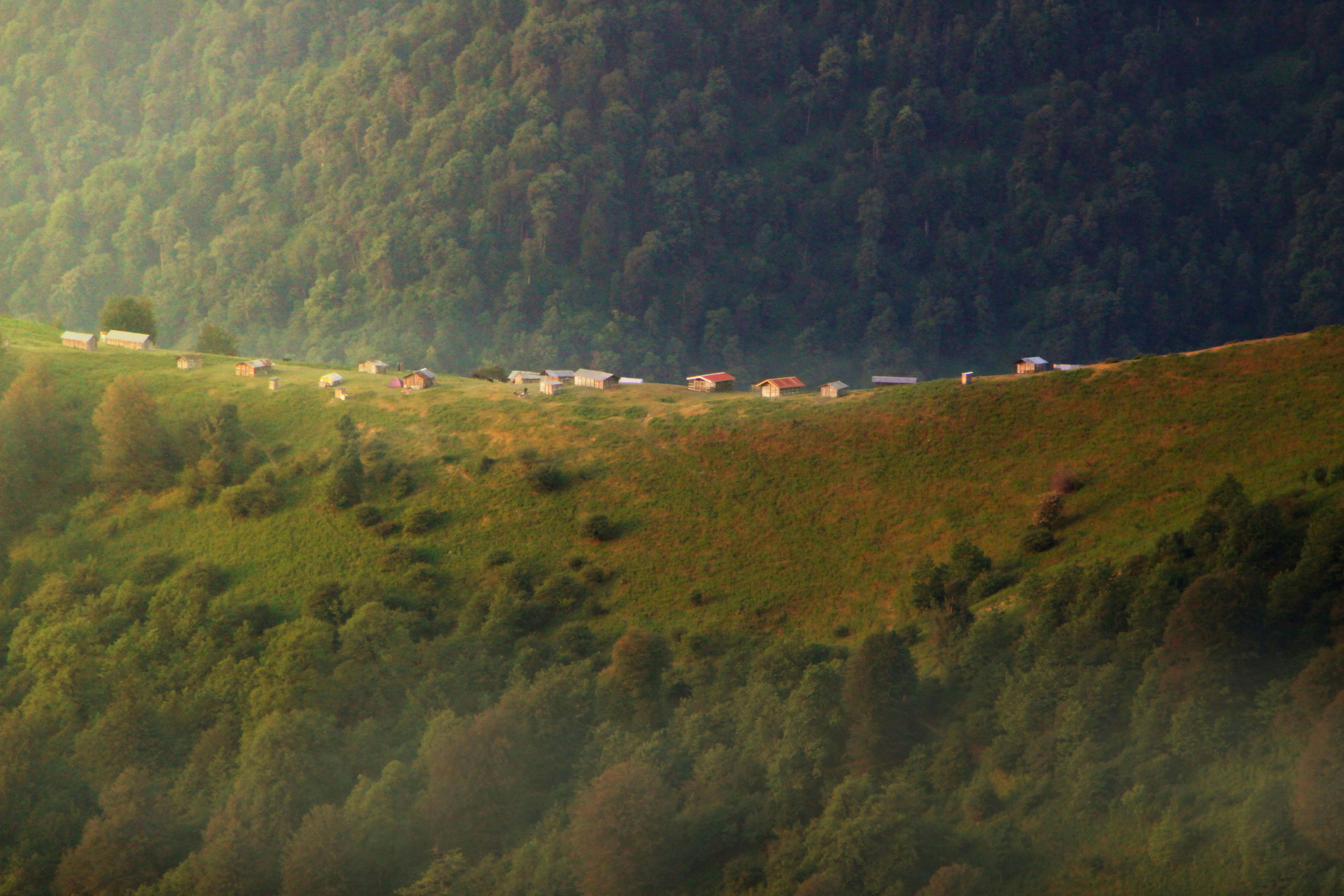 Photo by hasanalmasi