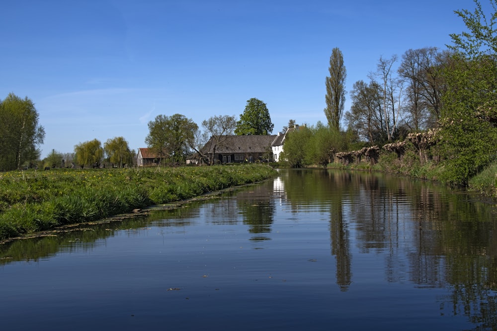 green trees beside river under blue sky during daytime