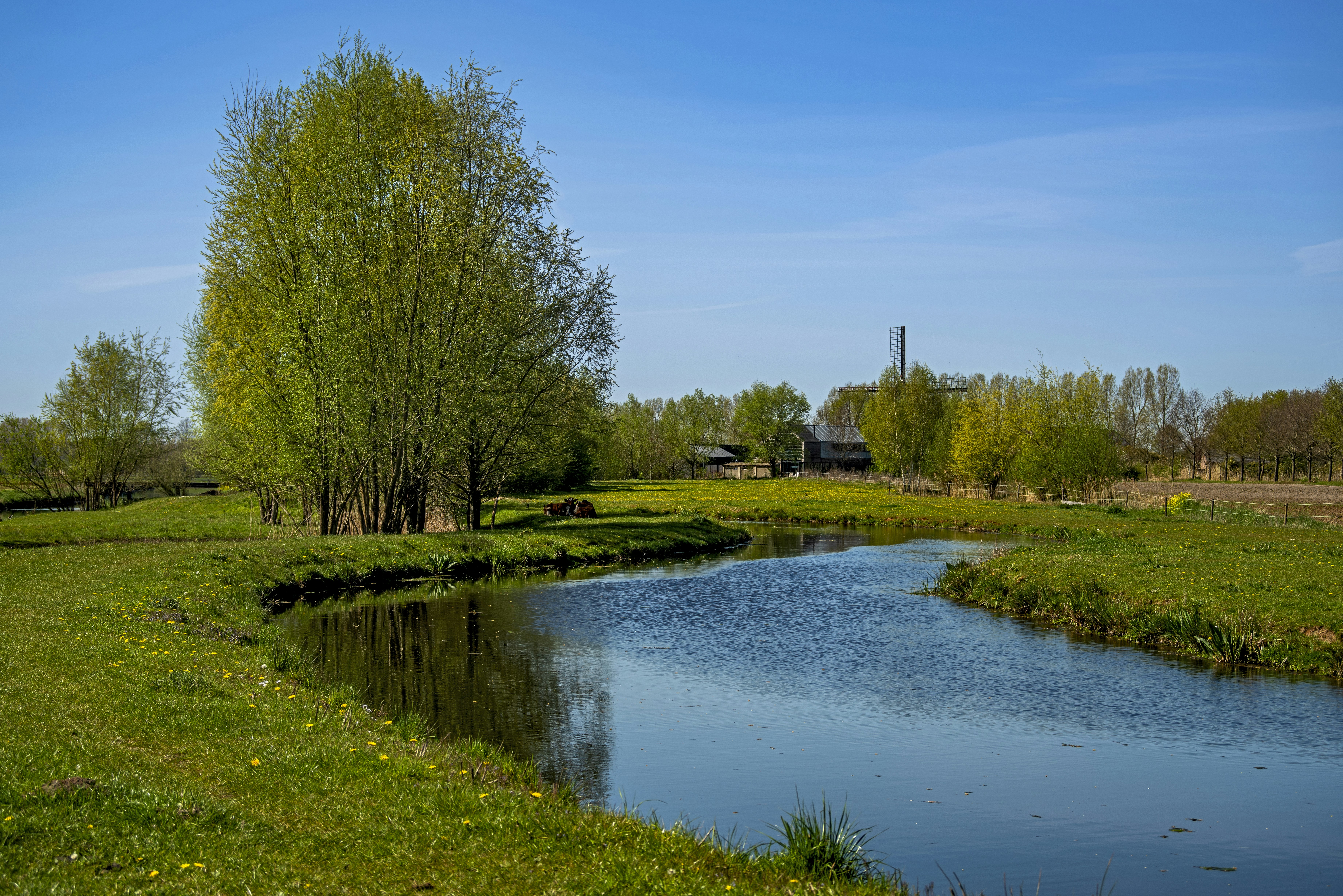 Photo by switch_dtp_fotografie